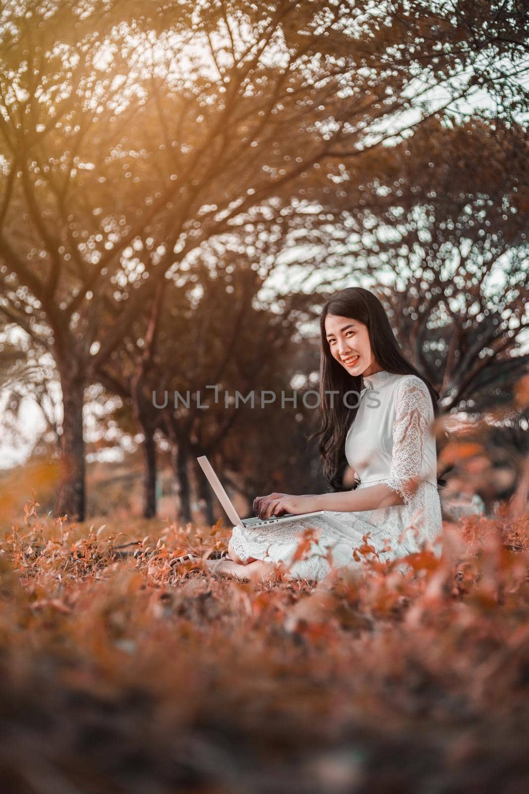 beautiful woman using laptop in the outdoor park