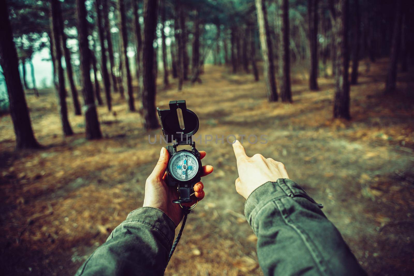 POV image of traveler woman holding a compass and pointing direction in the forest. Image with instagram color effect
