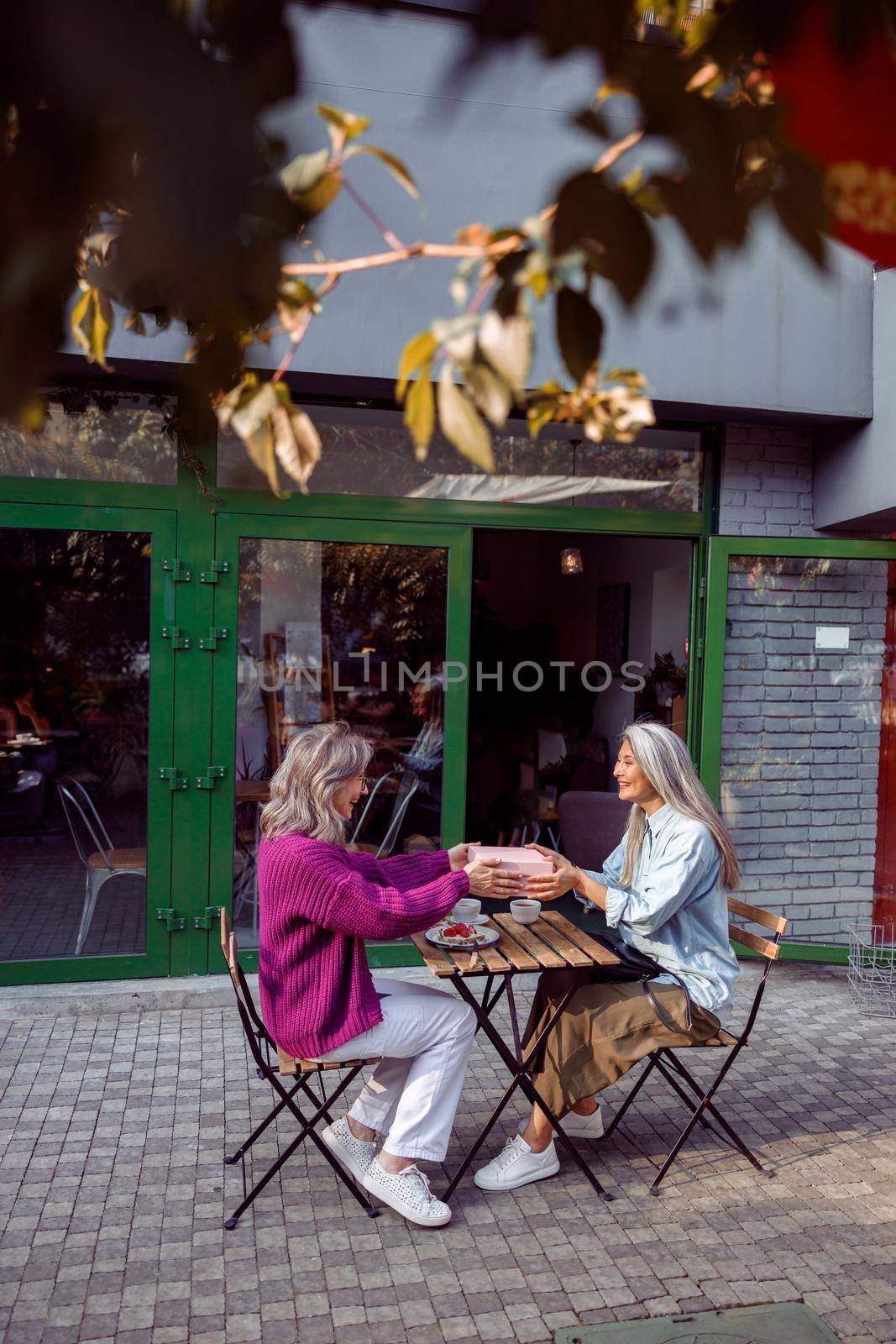 Positive senior women companions hold gift box sitting table on cafe terrace by Yaroslav_astakhov