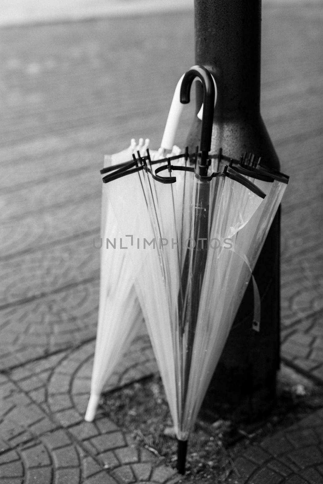 two transparent umbrellas near the lamppost pillar