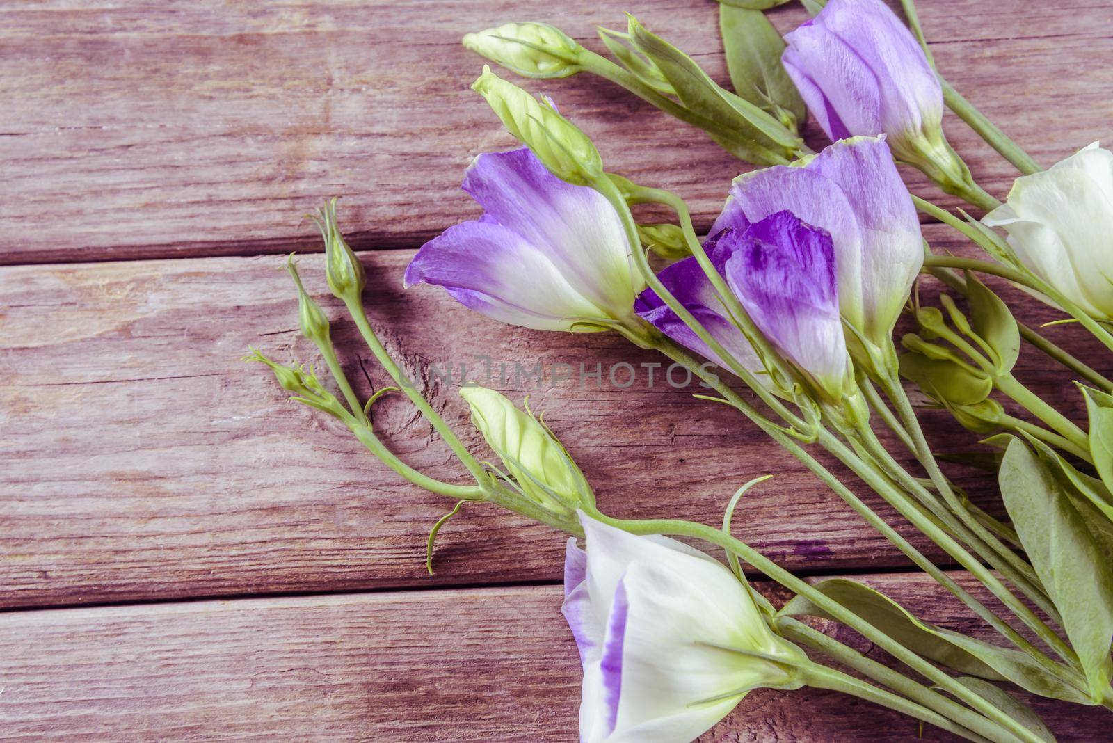 Flowers bells on a wooden table, space for text