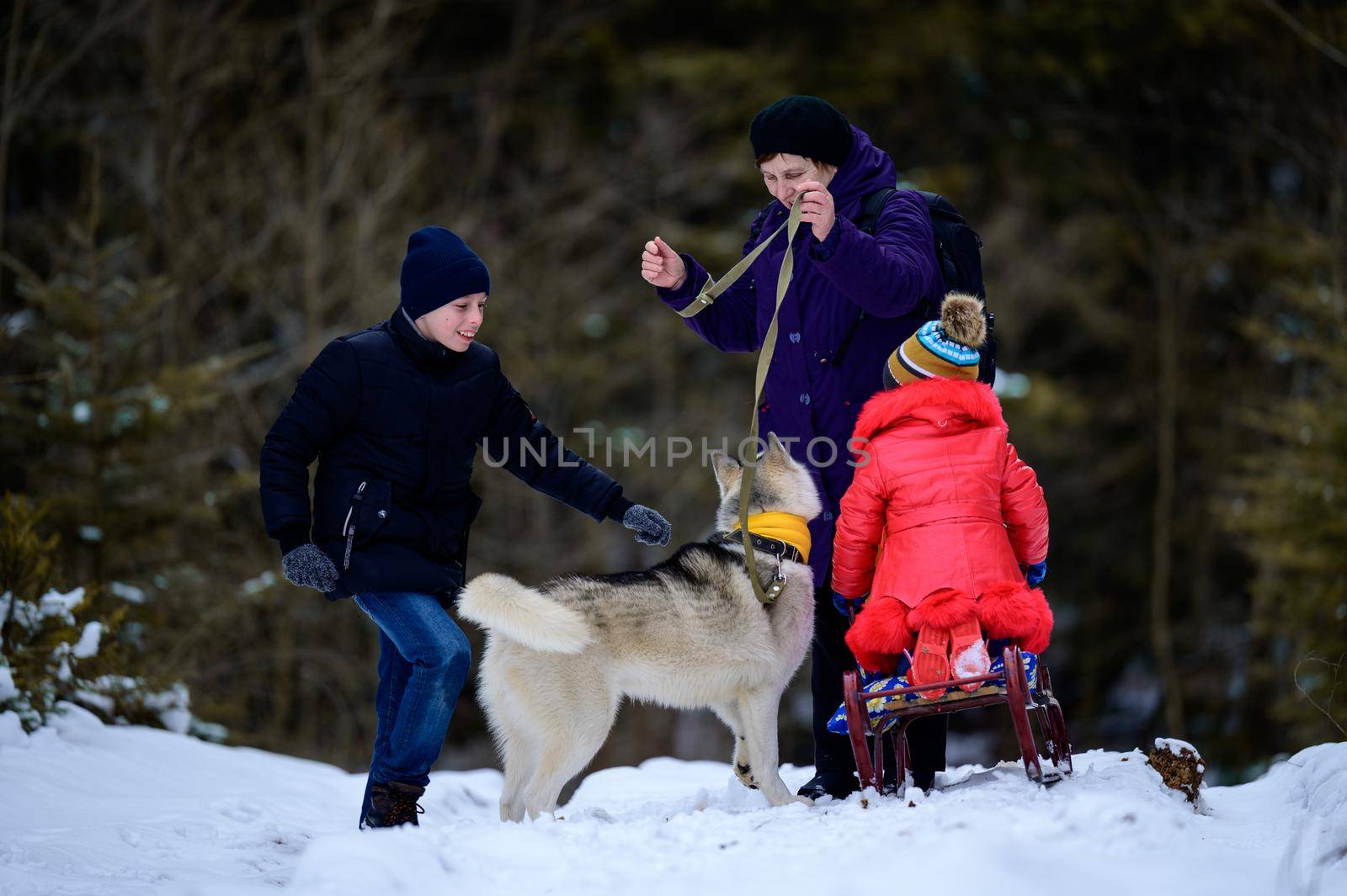 Grandmother with grandchildren and dog walking in the winter forest, winter fun.new