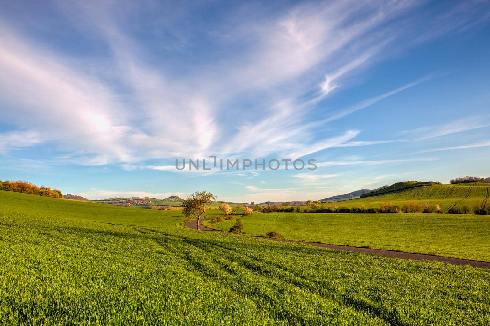 Spring fields  in the Central Bohemian Uplands, Czech Republic.  by CaptureLight