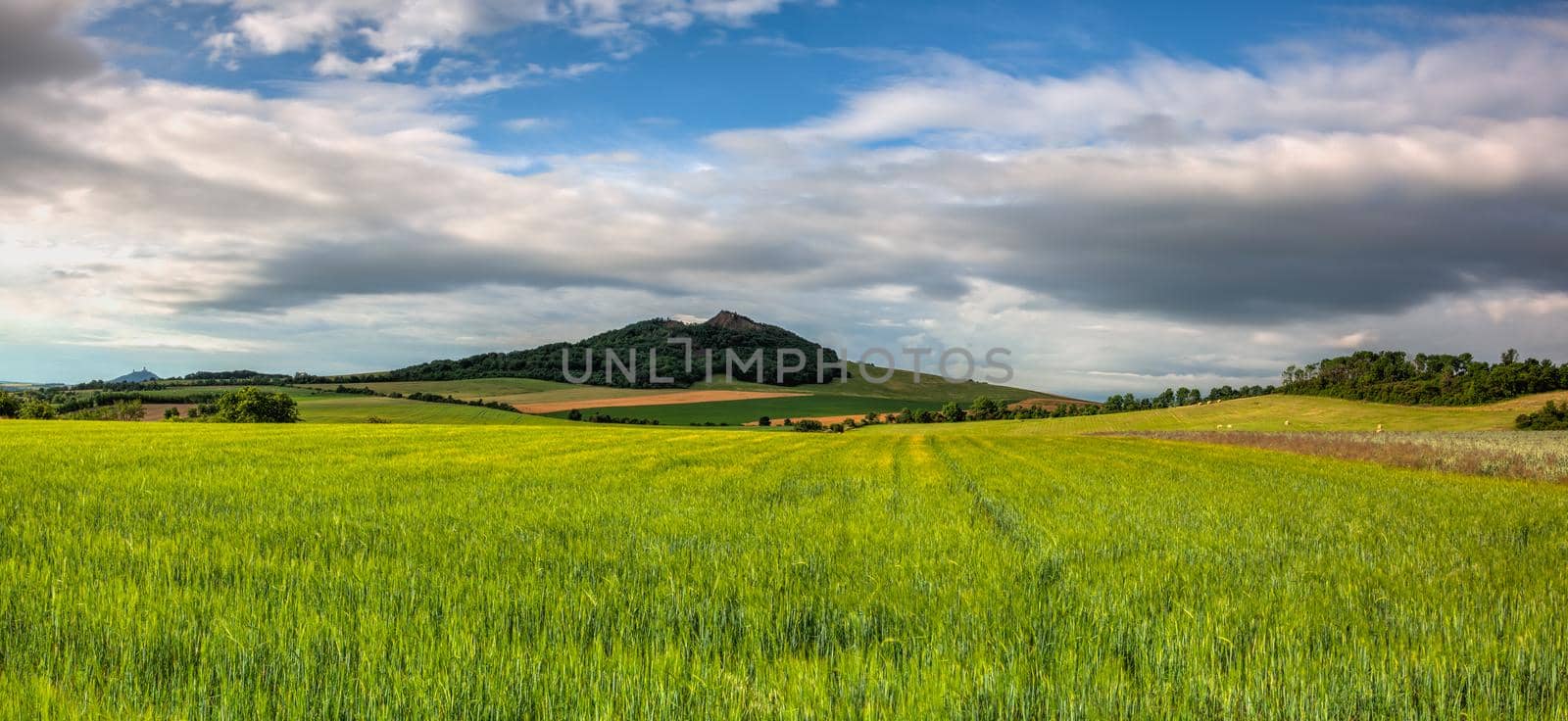 Summer landscape in Central Bohemian Uplands, Czech Republic. Panorama image.