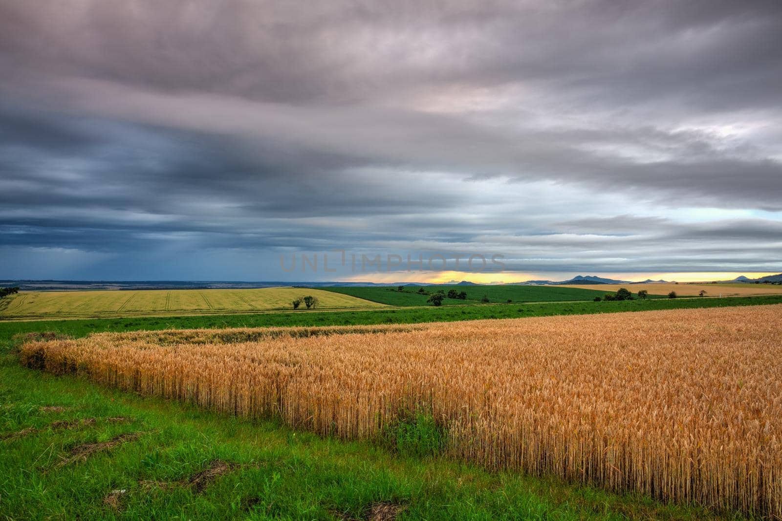 Barley field and amazing sunset before heavy storm  by CaptureLight