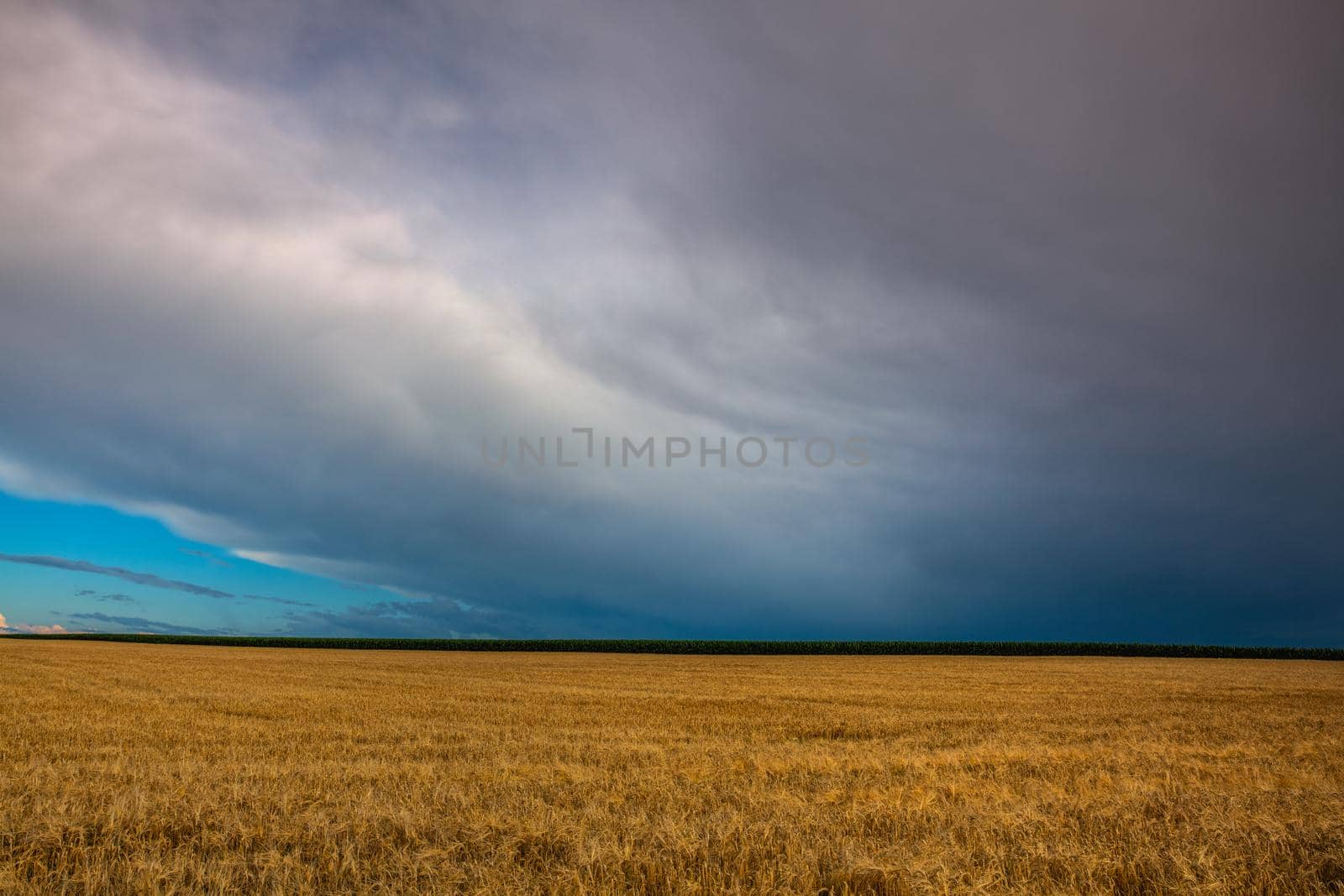 Wheat field and amazing sunset before heavy storm in Czech Republic