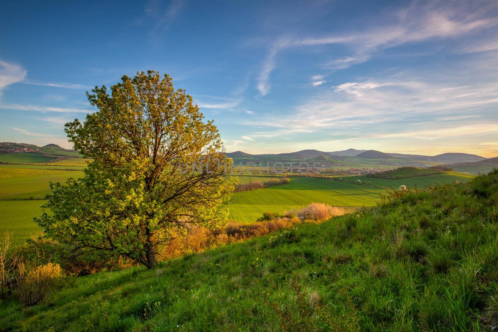 Spring morning in Central Bohemian Highlands.It is a mountain range located in northern Bohemia in the Czech Republic.The range is about 80 km long, extending from Ceska Lipa in the northeast to Louny