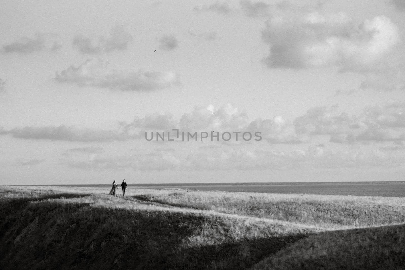 skyline with sea and grassy mountains by Andreua