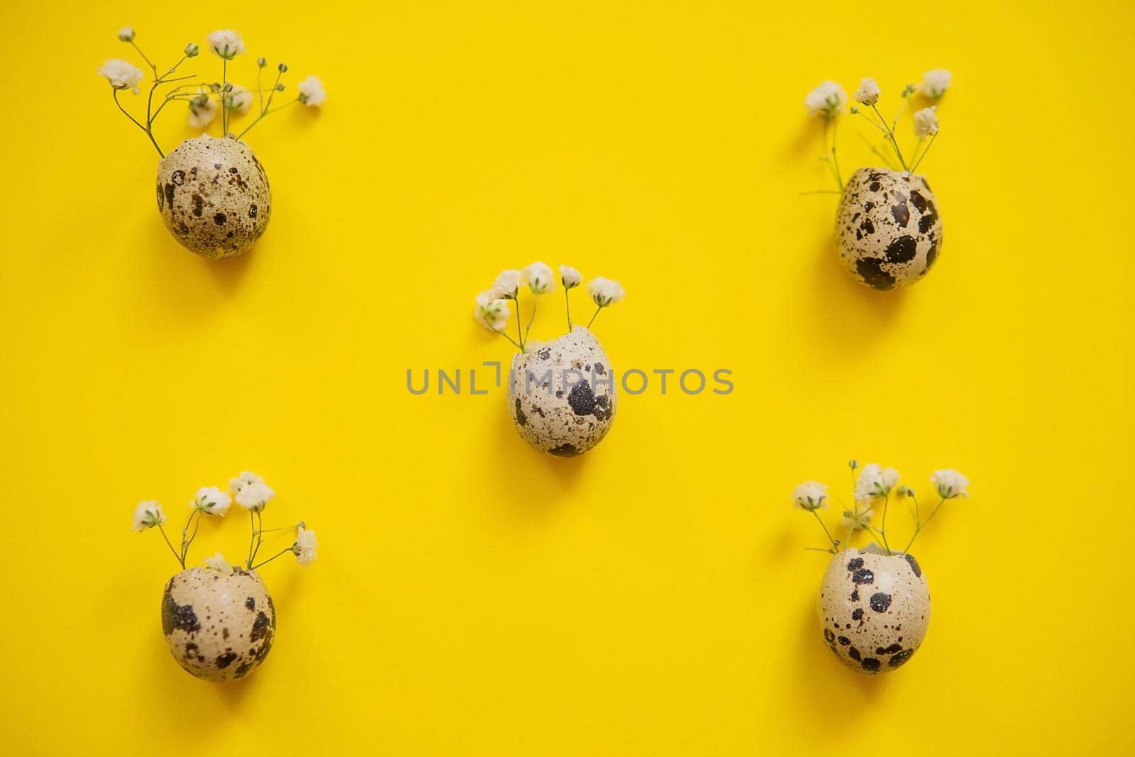 Easter background, quail eggs on a yellow background, decorated with natural botanical elements, flat lay, view from above