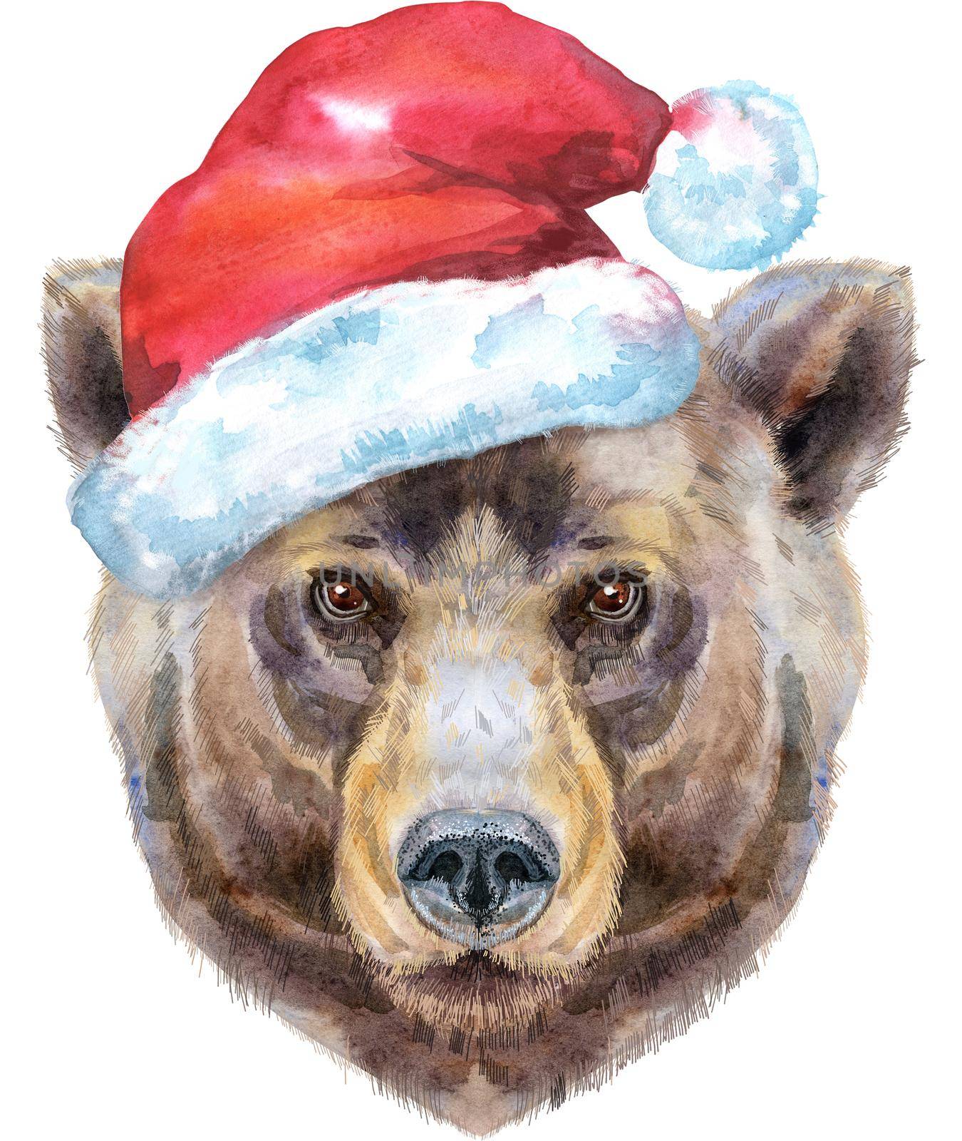 Bear portrait in Santa hat. Watercolor brown bear painting illustration. Beautiful wildlife world