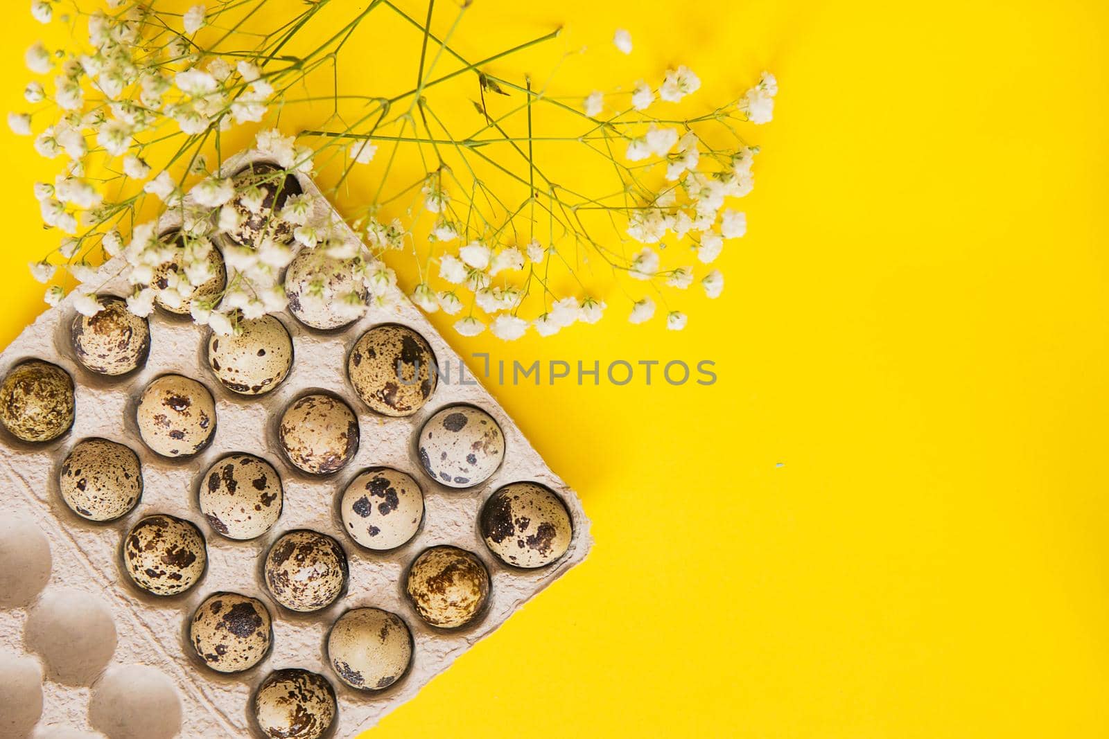 Easter background, various eggs on a yellow background, decorated with natural botanical elements, flat lay, view from above, empty space for text