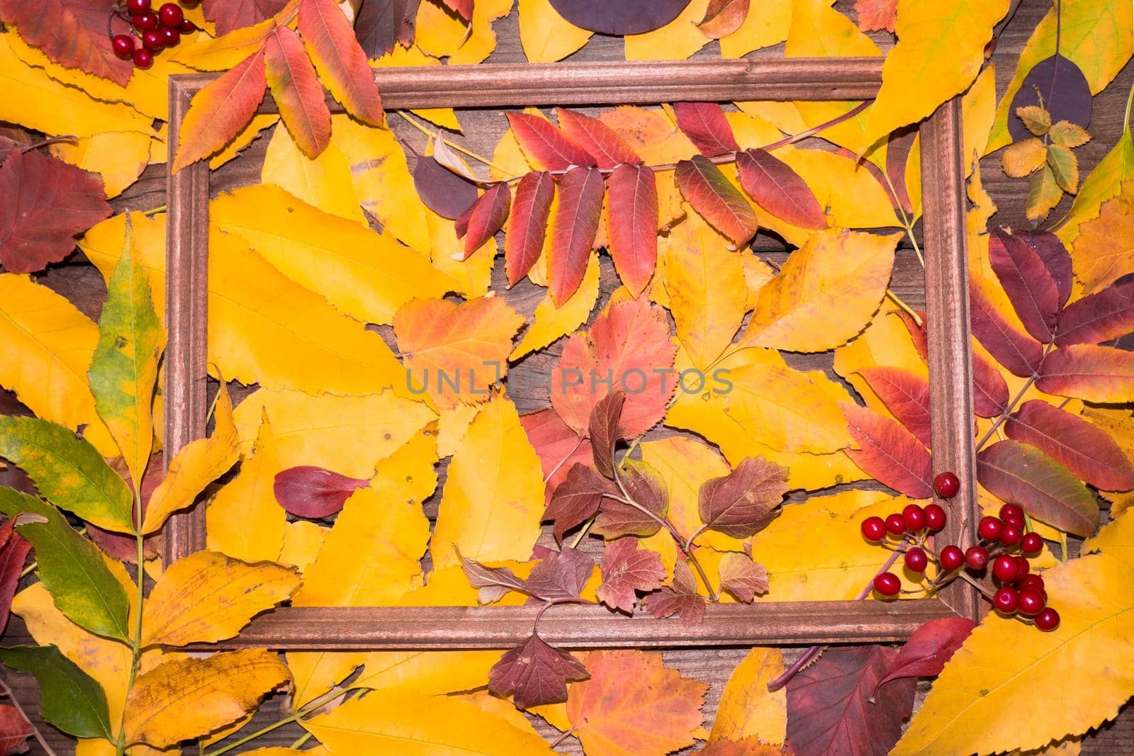 Autumn leaf composition with picture frame. Copy space. by Ekaterina34