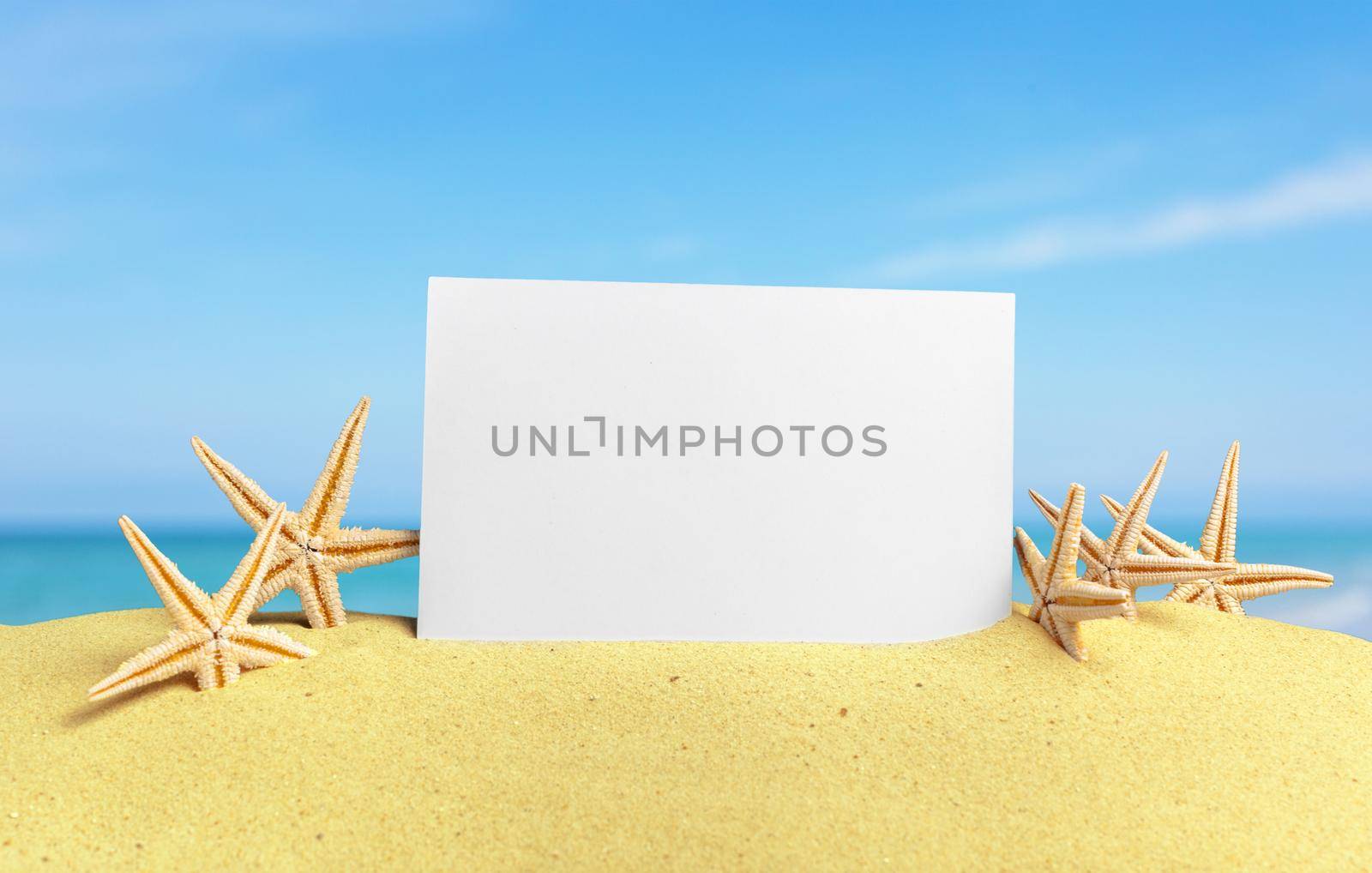 Seashells with blank card on sand beach