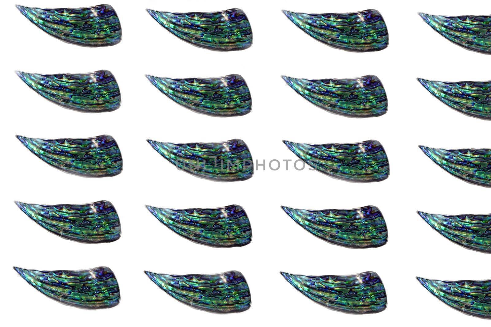 slices of polished nacre - pattern or abstract image pf blue polished surface of nacre mollusk shells isolated on white background.