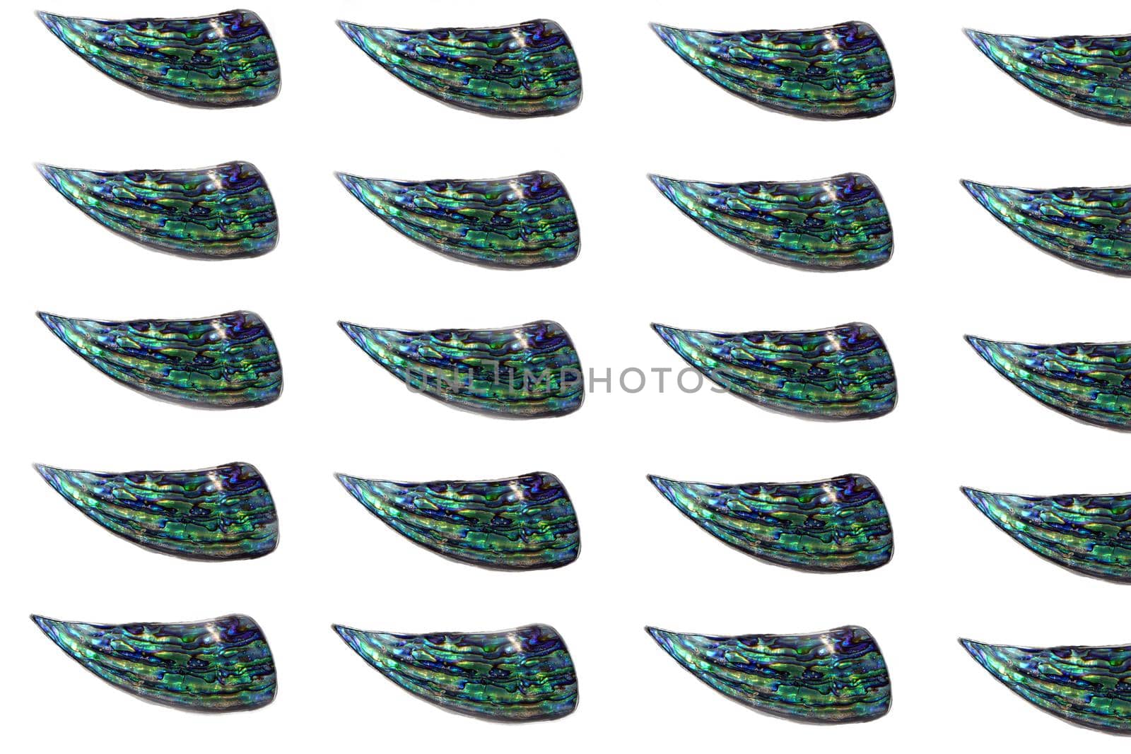 Pattern or abstract image pf blue polished surface of nacre mollusk shells isolated on white background. slices of polished nacre by julija