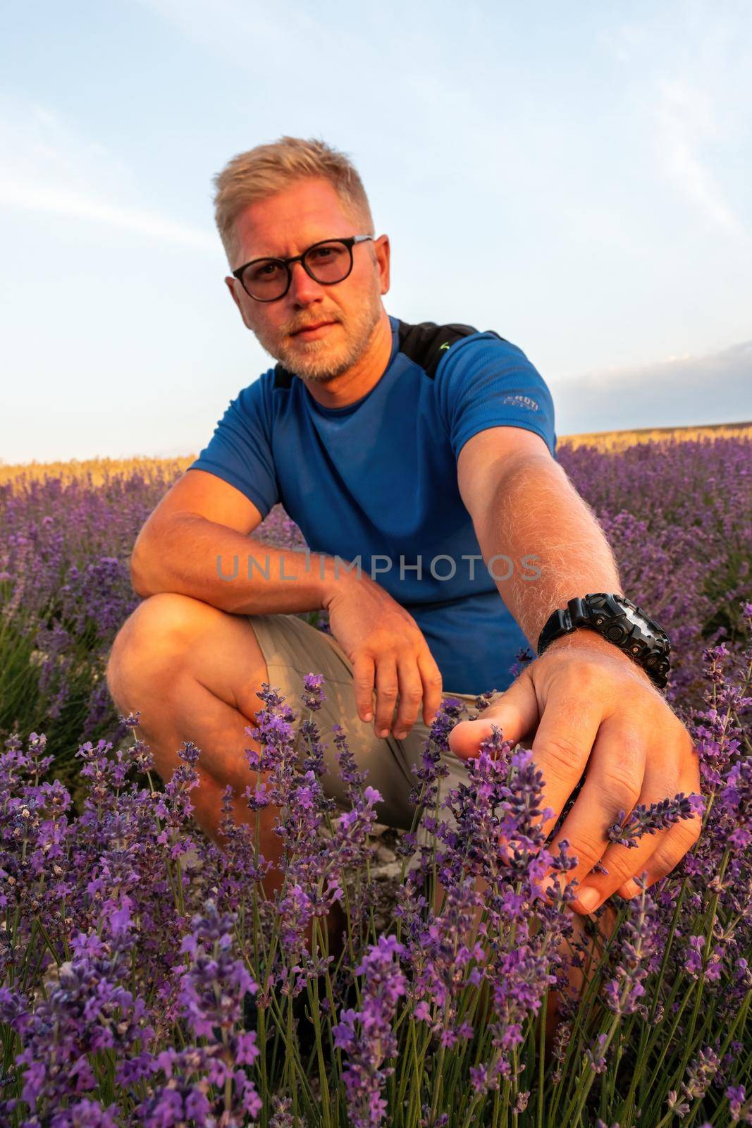 Close up portrait of happy young man in blue t-shirt and glasses on blooming lavender fields with endless rows. Warm sunset light. Bushes of lavender purple aromatic flowers on lavender fields by panophotograph