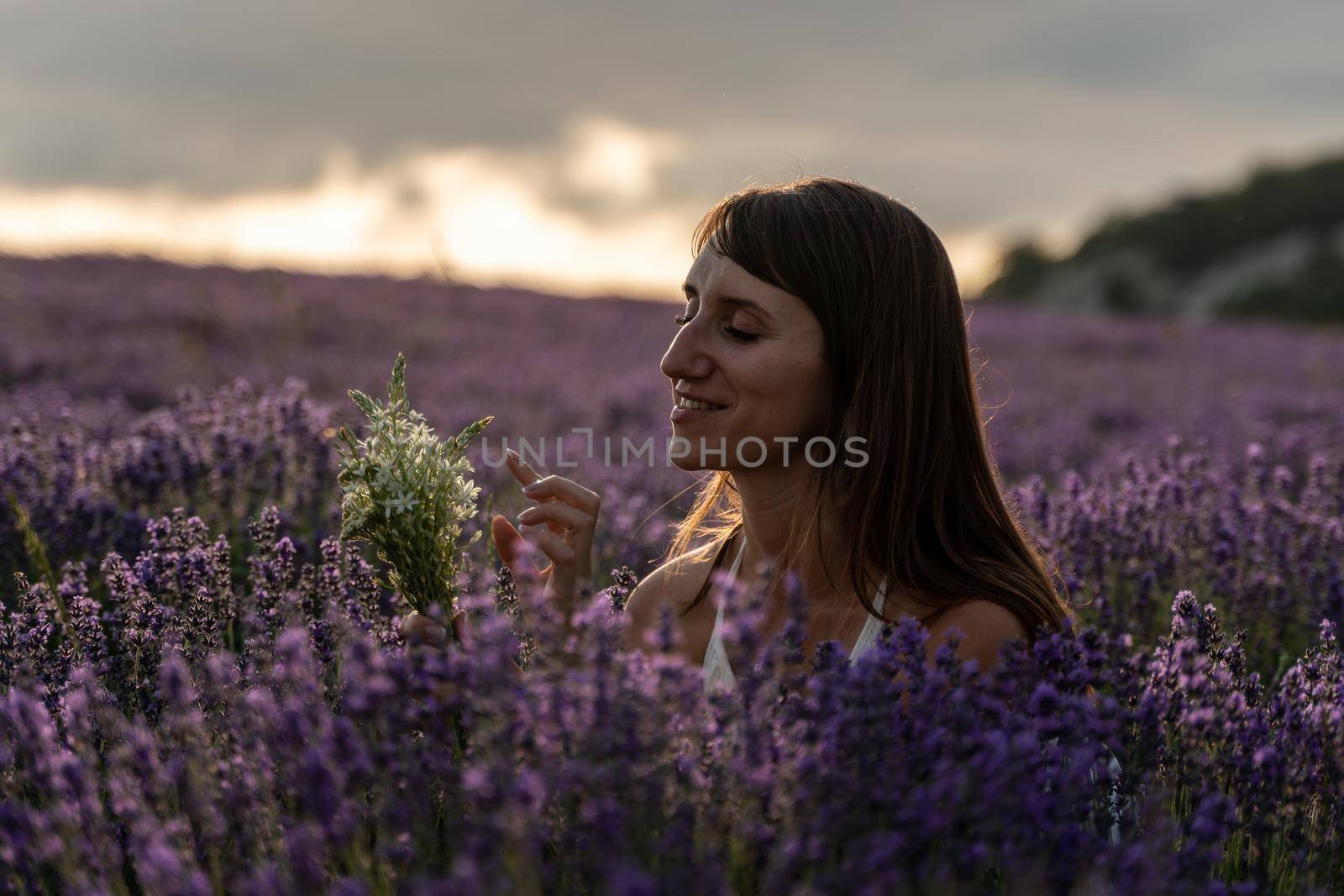 Close up portrait of happy young brunette woman in white dress on blooming fragrant lavender fields with endless rows. Warm sunset light. Bushes of lavender purple aromatic flowers on lavender fields. by panophotograph