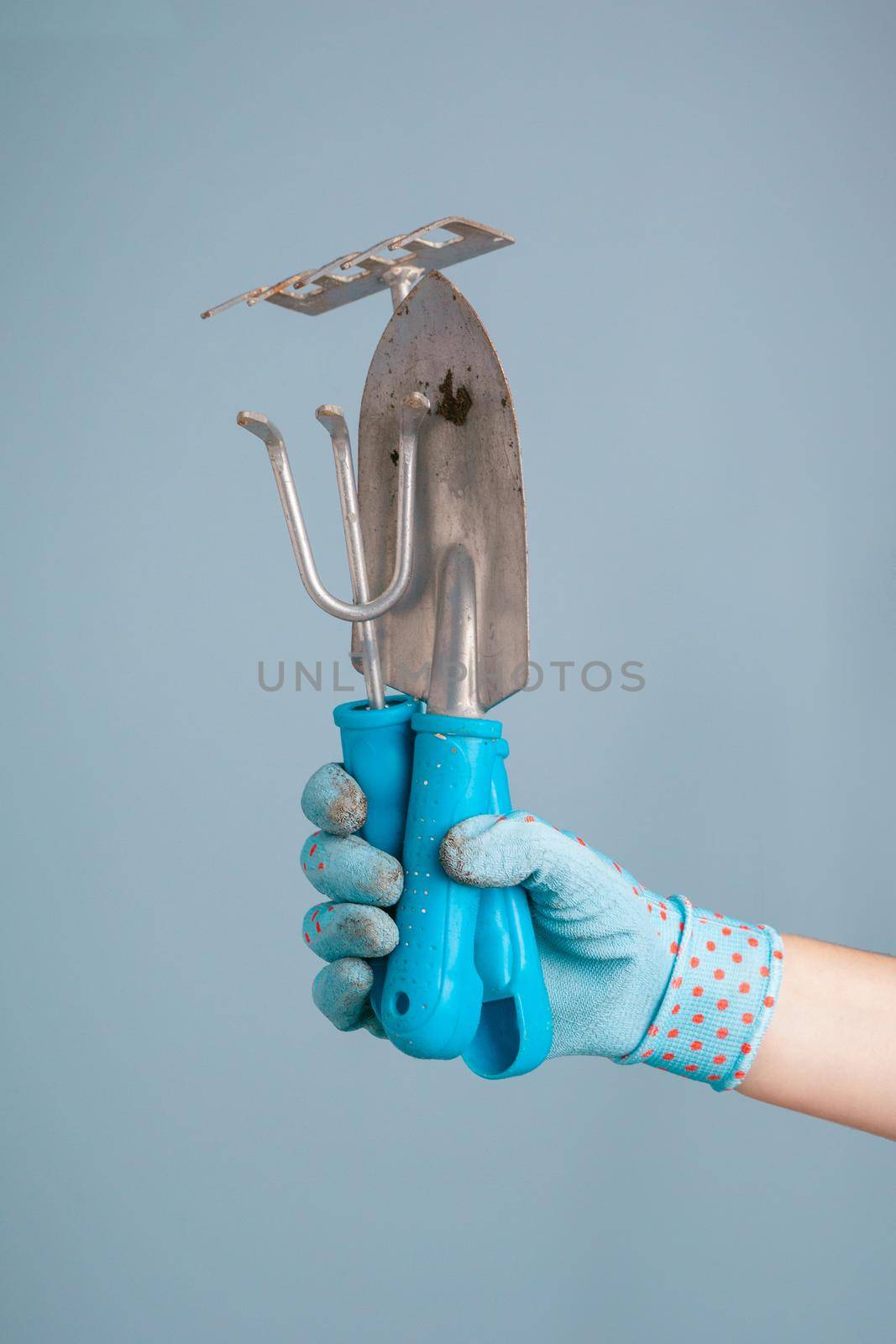 Hand holding garden tools on blue background