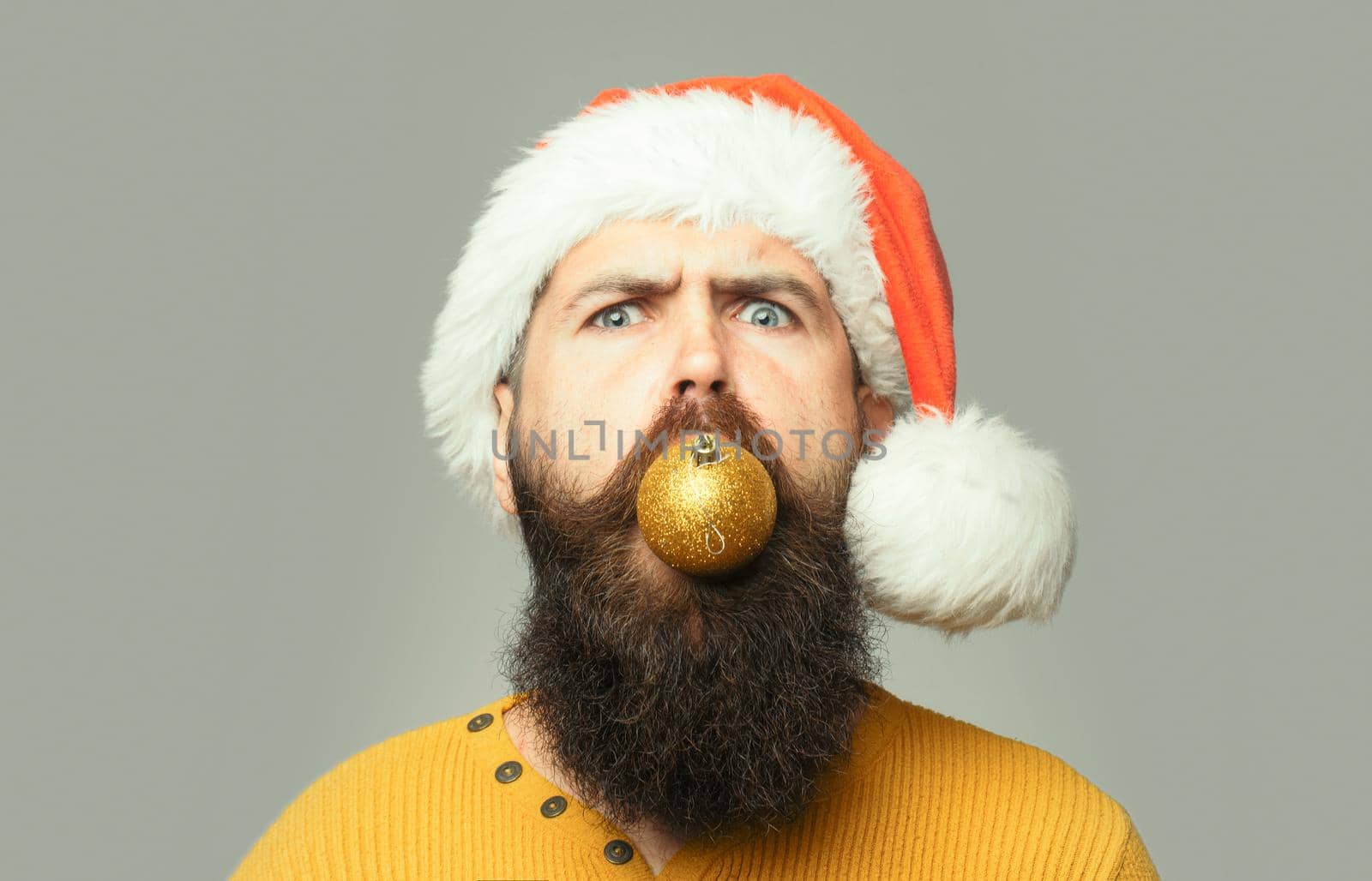 Crazy man with long beard and moustache on serious face with Christmas ball in mouth on grey background. Closeup funny face portrait.