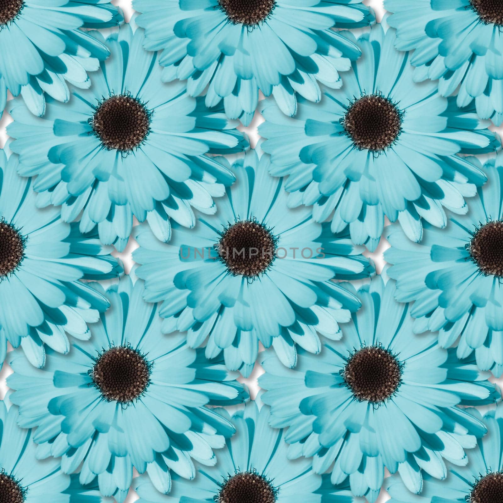 Blue Chamomile or gerbera seamless floral pattern. Summer flowers