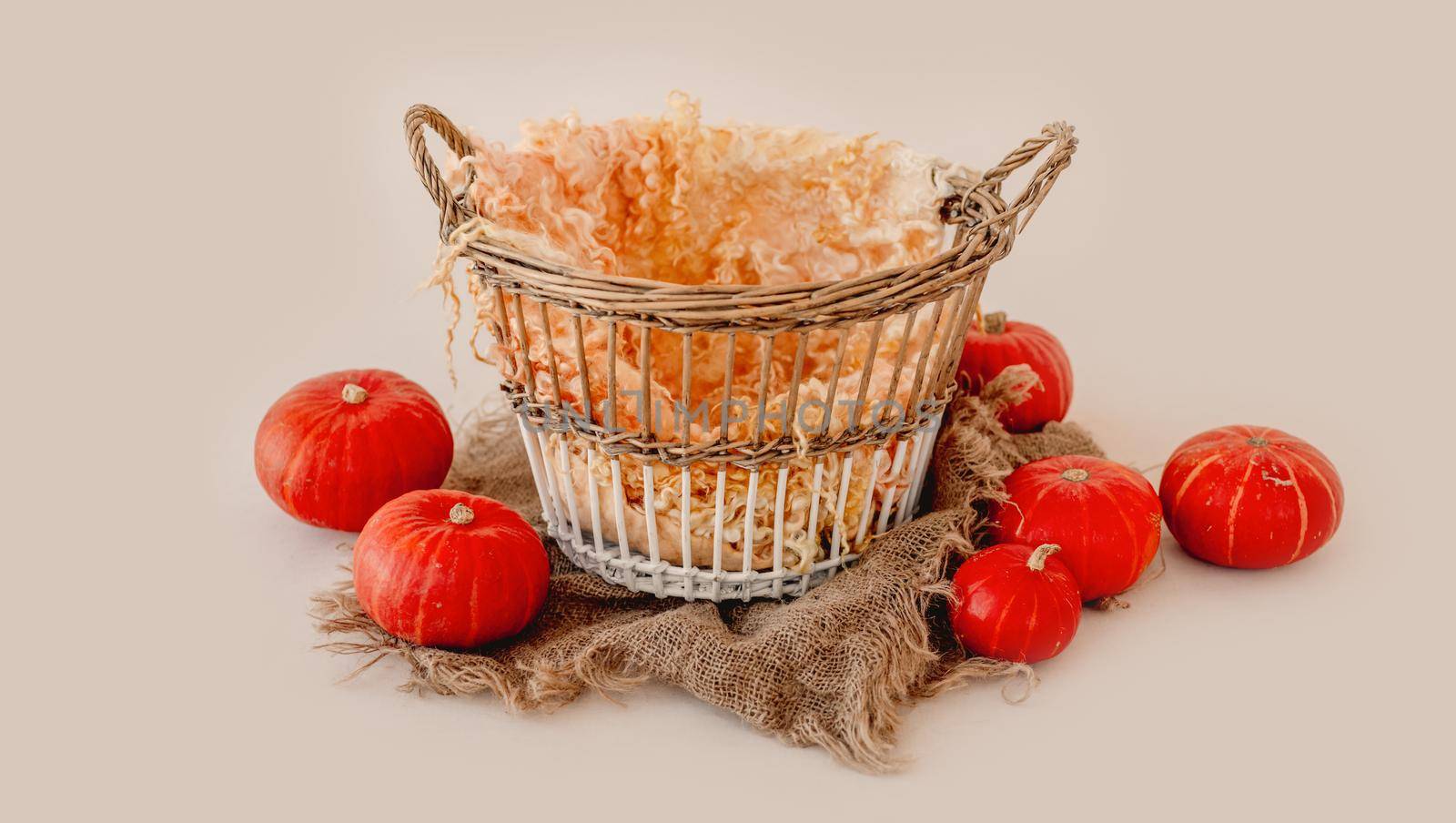 Tiny basket for newborn studio photoshoot decorated with pumpkins and sackcloth. Cute decoration for infant child kid photos