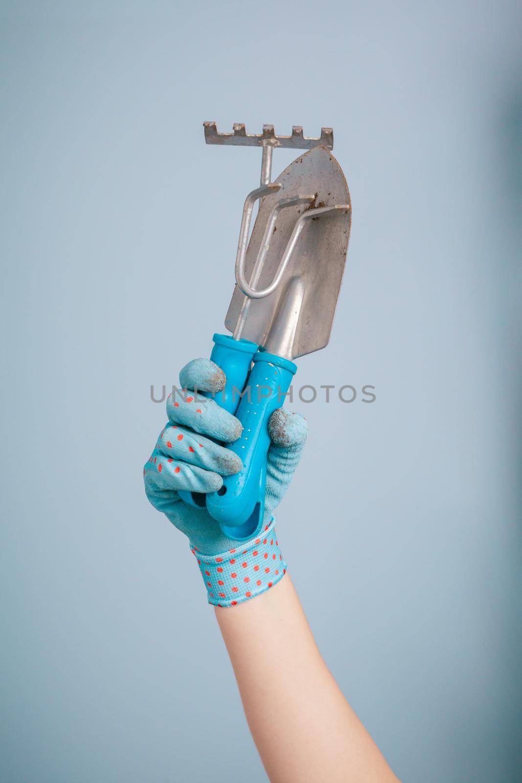 Hand holding garden tools on blue background