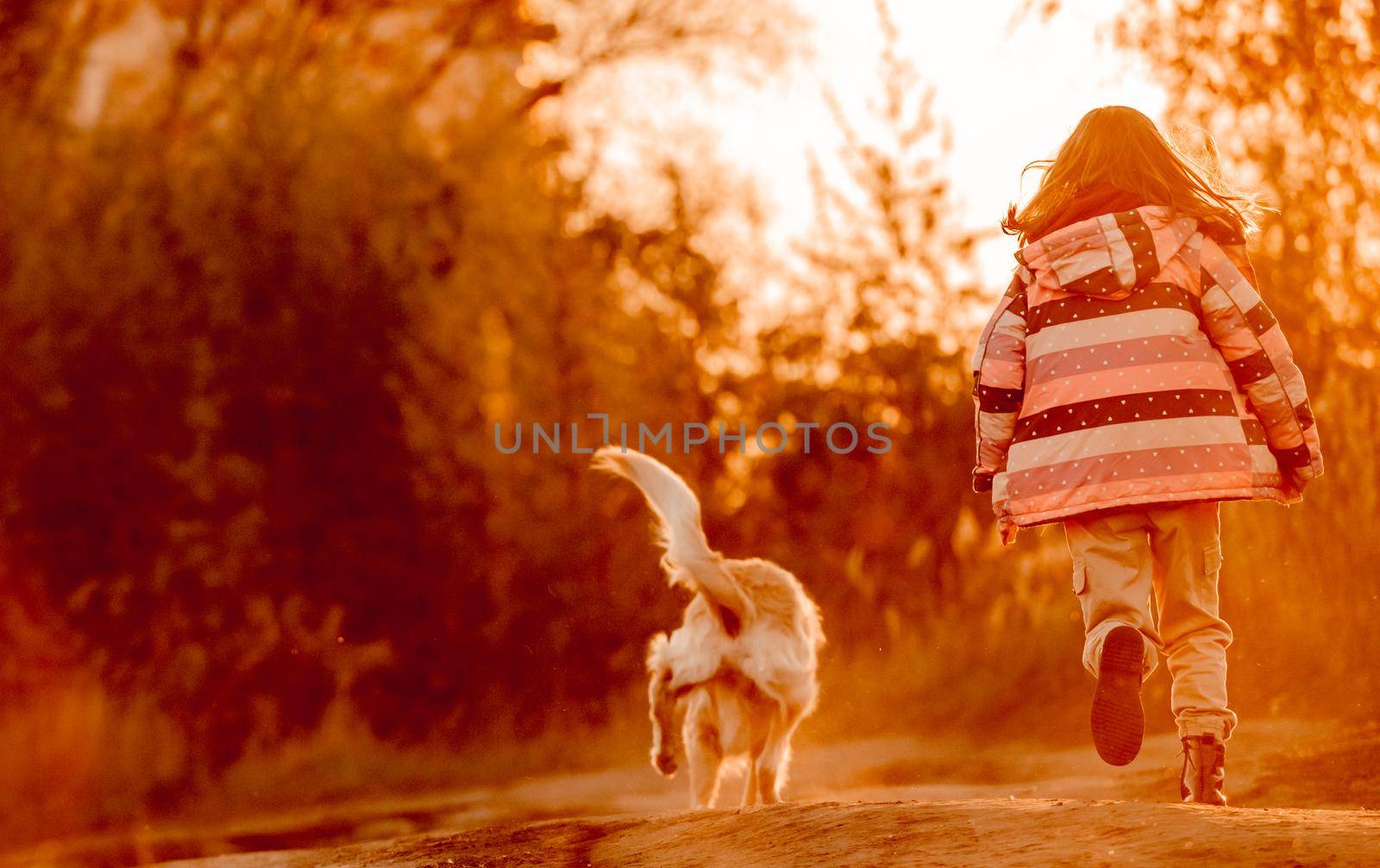 Little girl child with golden retriever dog running in sunset time outdoors. Kid with doggy pet labrador together at autumn nature