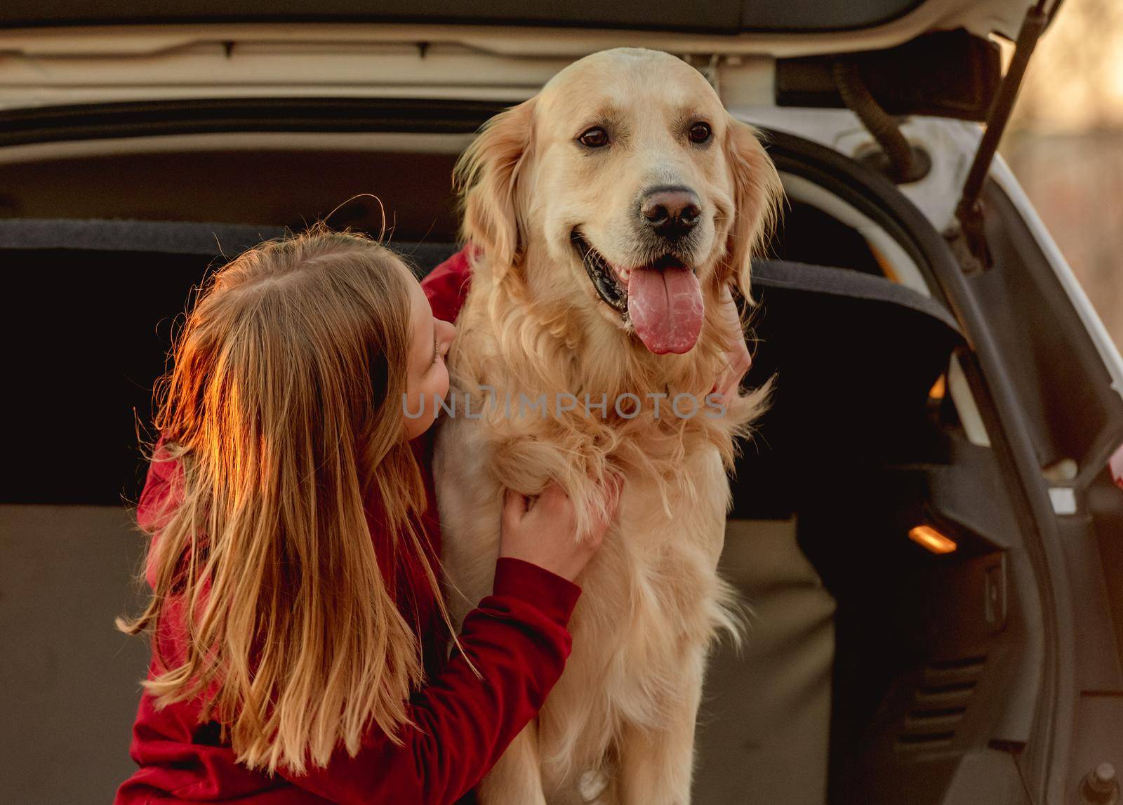 Girl child petting golden retriever dog sitting in car trunk outdoors. Pretty kid with doggy pet labrador in vehicle at nature