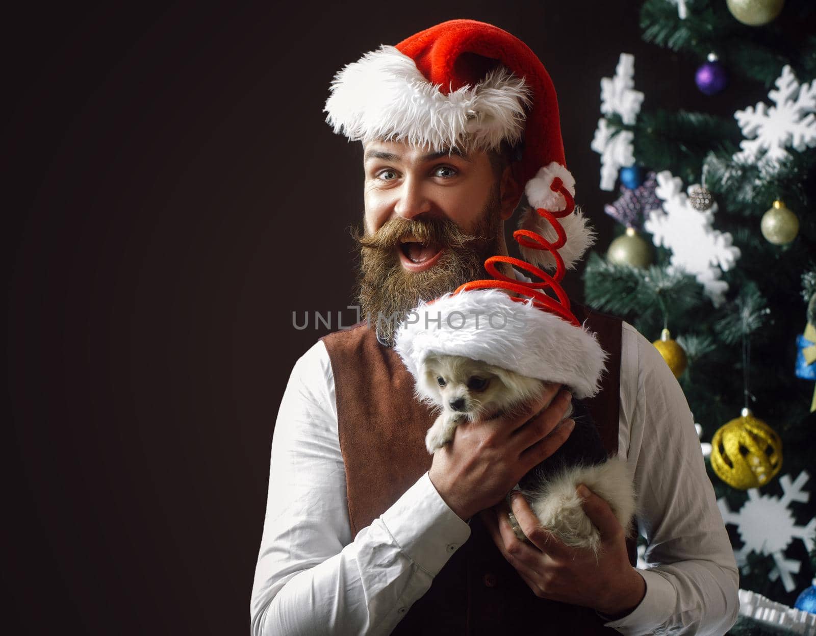 Funny Santa claus man with pet dog. Party celebration and christmas with pets. Pomeranian Spitz. by Tverdokhlib