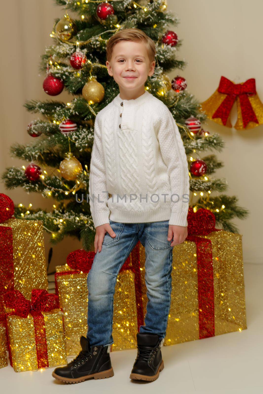 Cute little boy near the Christmas tree. The concept of family holidays.