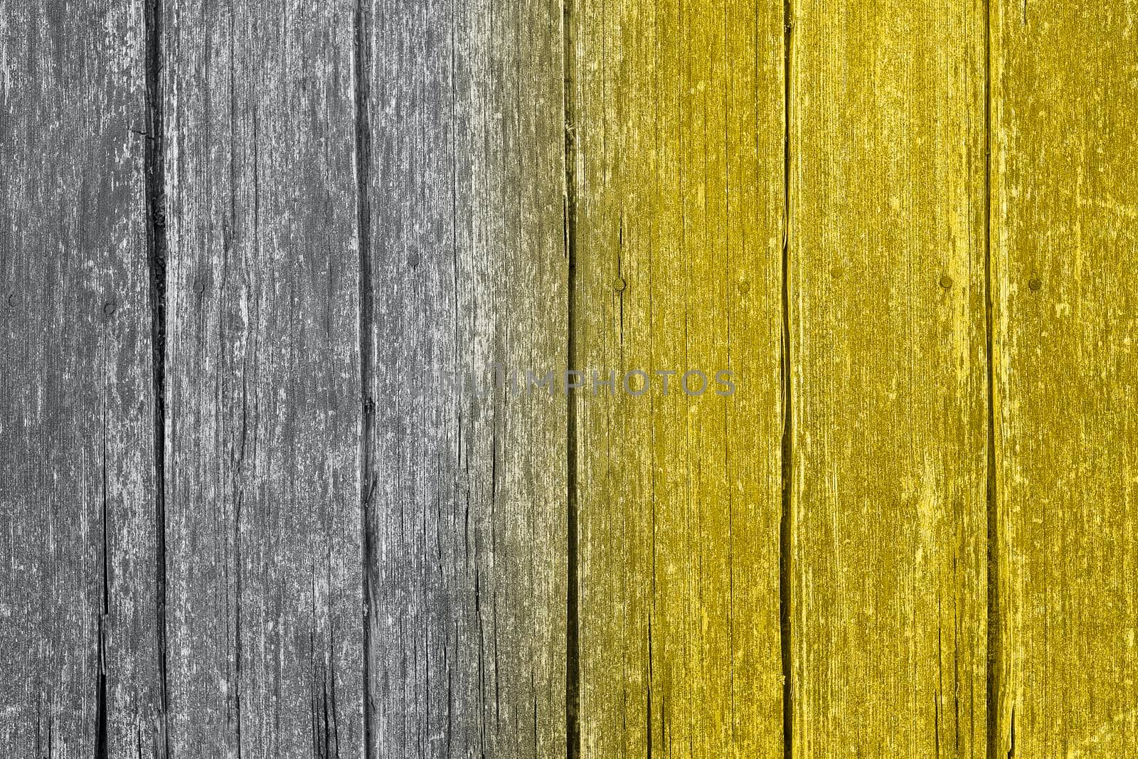 Gradient Ultimate Gray and Illuminating yellow wooden surface toned in trendy colors of 2021. Wood background
