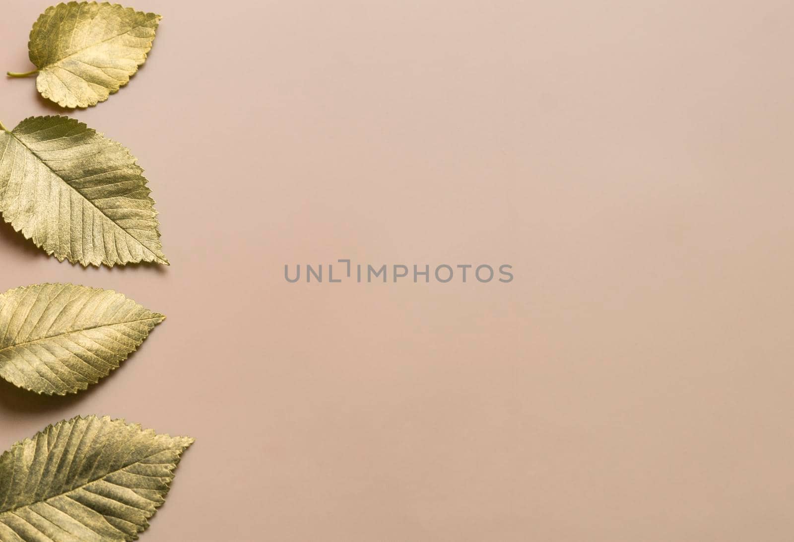 Leaves in gold paint on a beige background with a horizontal stripe on the left. Autumn concept. Top view of autumn leaves in gold paint on beige with copy space for your text to the right