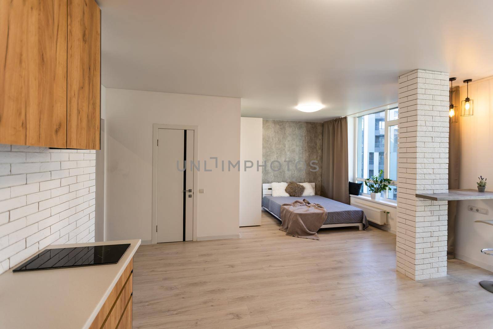 Kitchen and living room of loft apartment