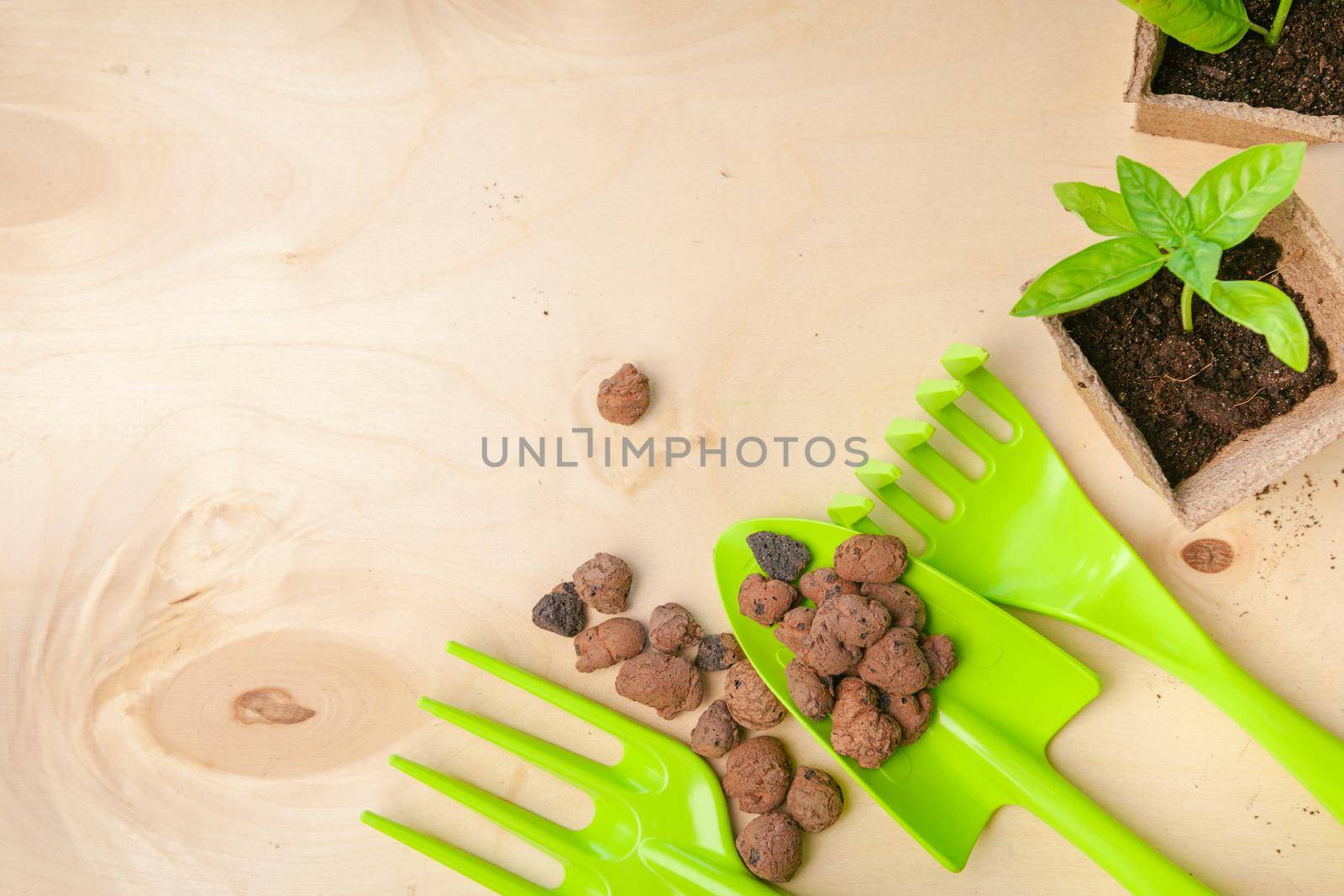 Gardening tools and top view, garden manteinance