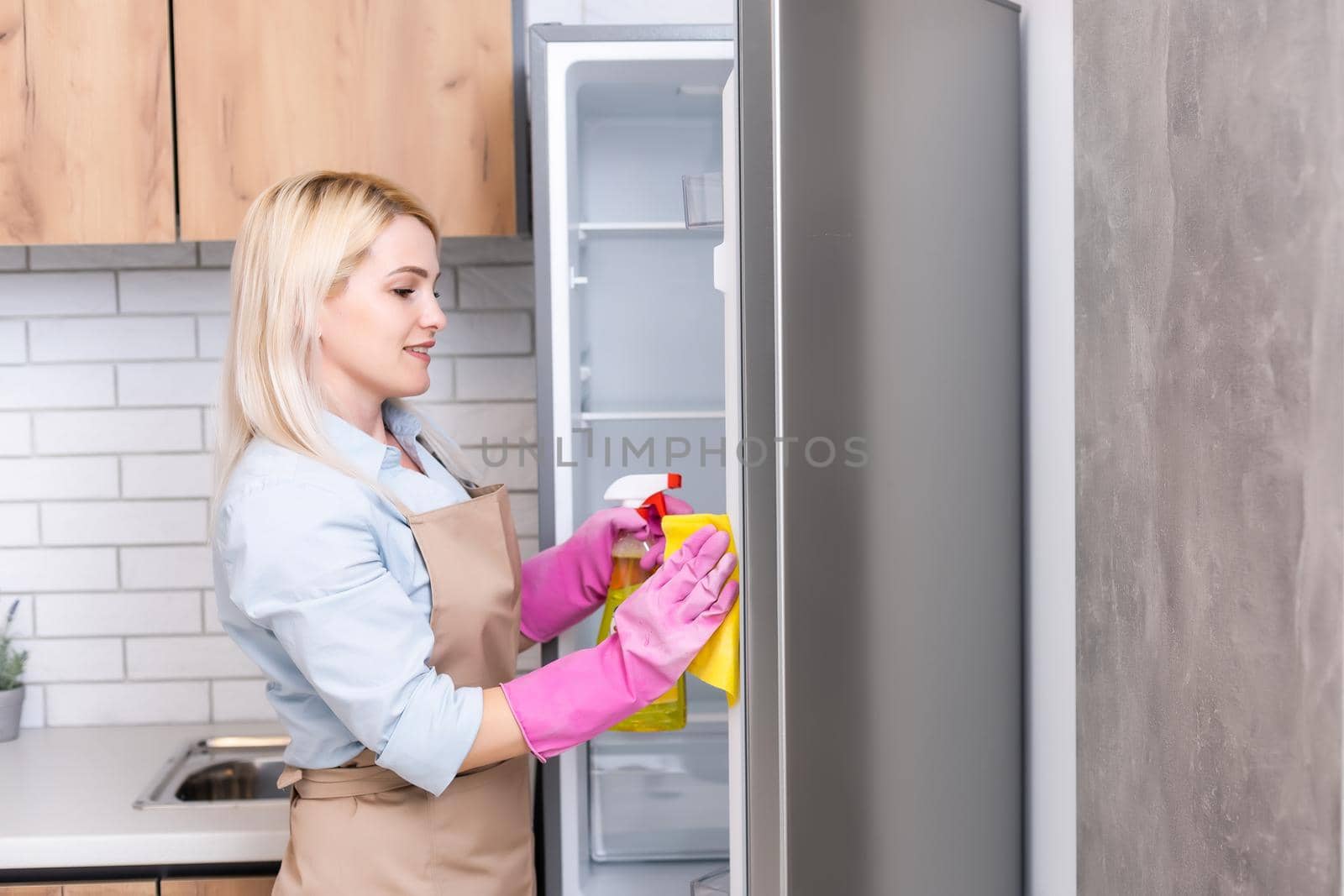 Cute housewife cleaning the kitchen