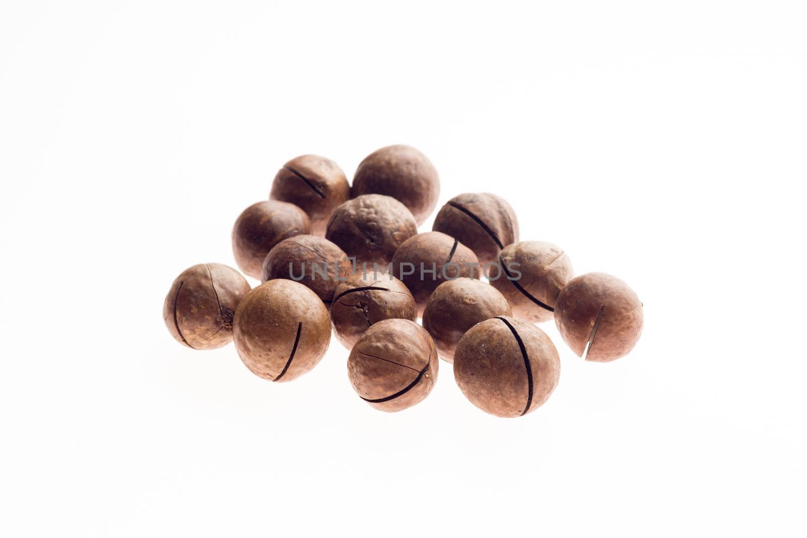 Closed macadamia nuts on a white background - image