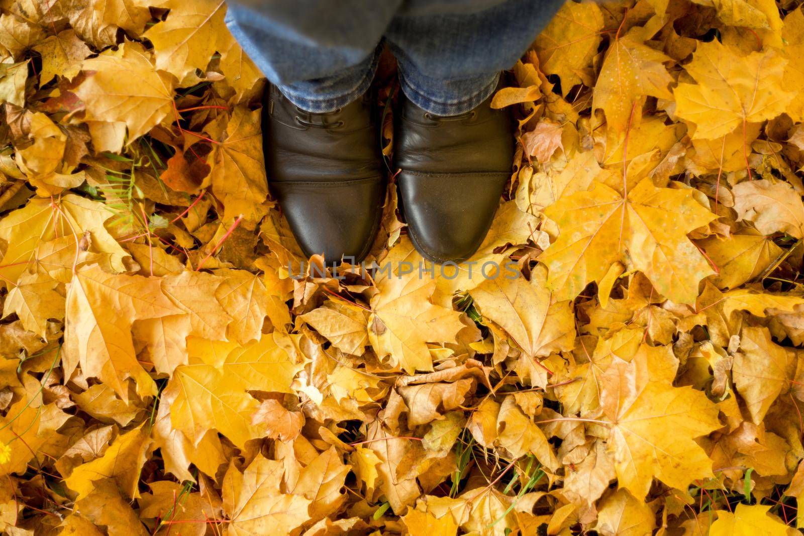 Fall, autumn, leaves, legs and shoes. Conceptual image of legs in boots on the autumn leaves. Feet shoes walking in nature