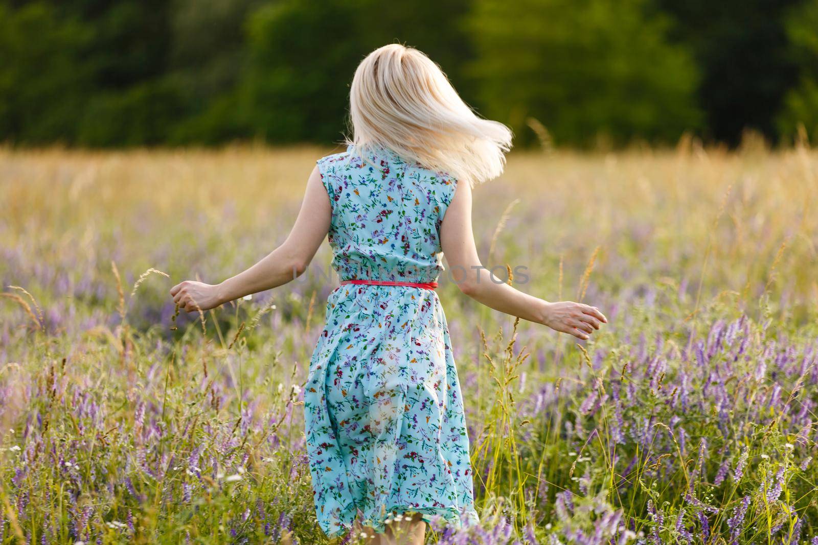 beautiful girl in a summer field
