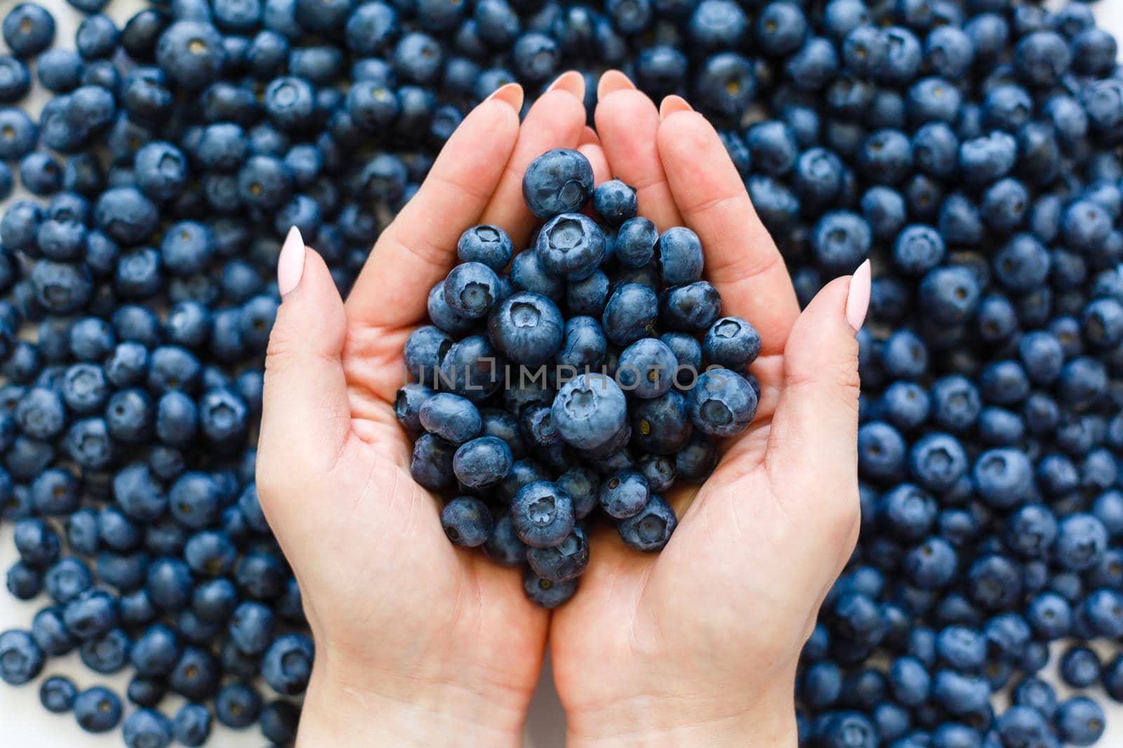 Surface is covered with a thick layer of blueberries, moorland harvest. Natural background.