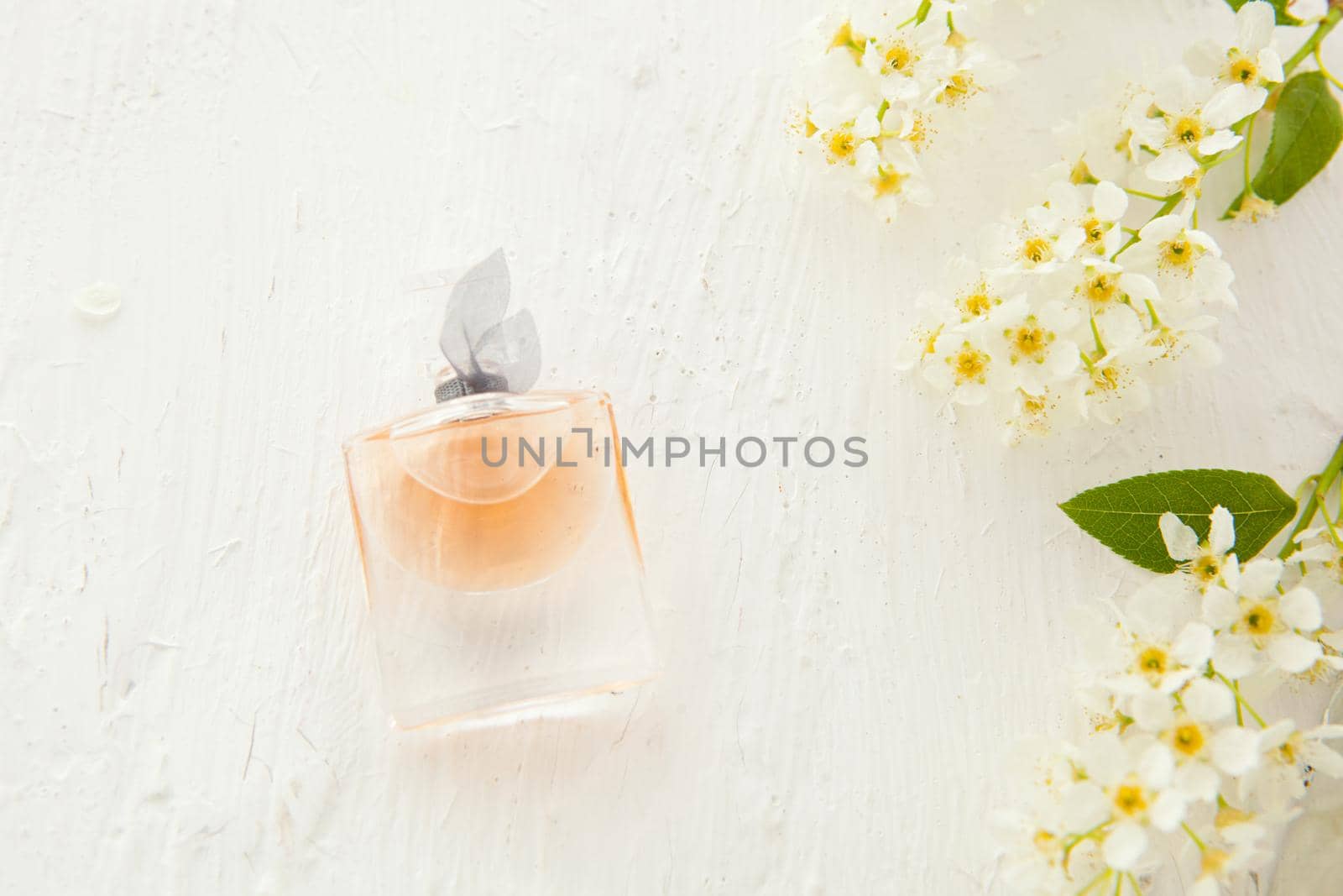 women's perfume in beautiful bottle and bird-cherry flowers on white background. Flat lay tools and accessories for woman