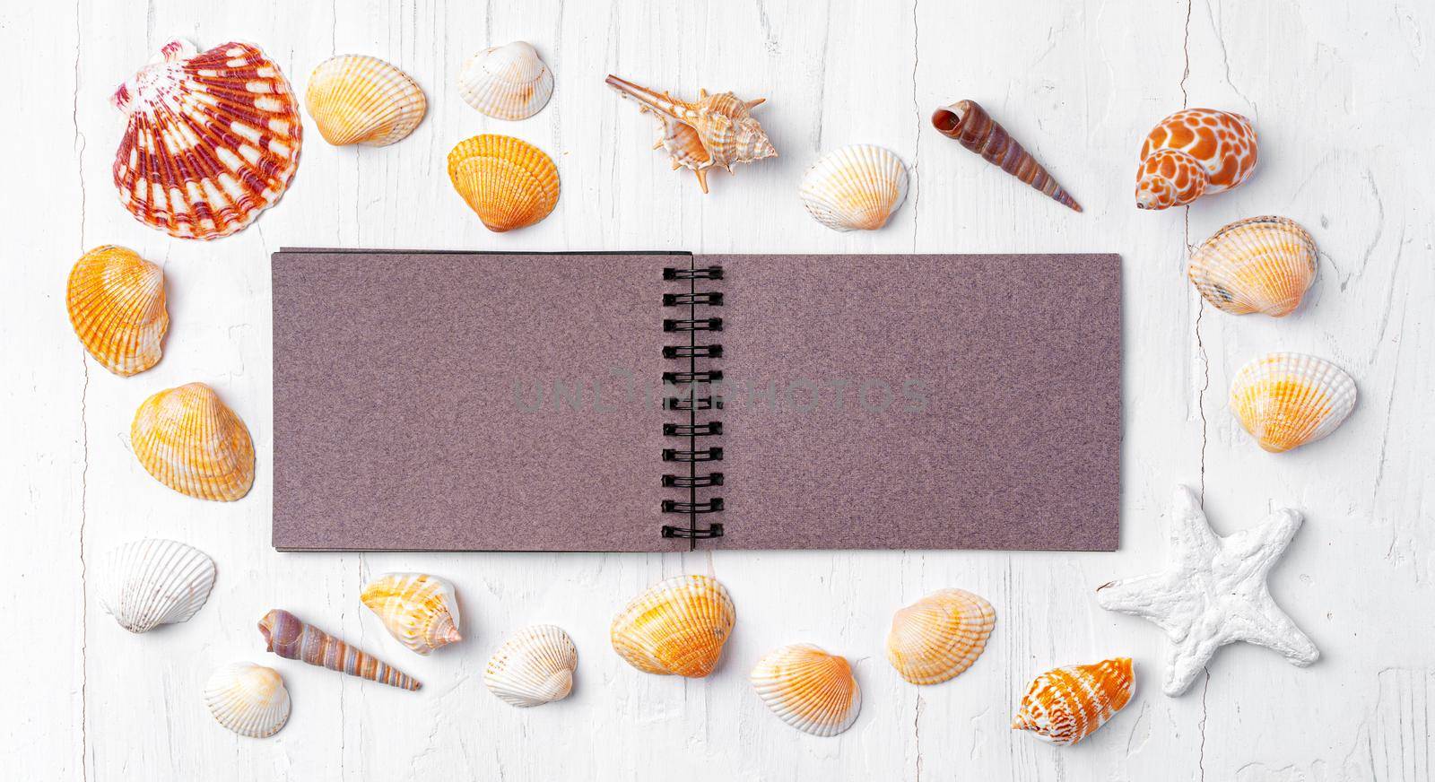 Open notepad with sea shells on white wooden background, top view