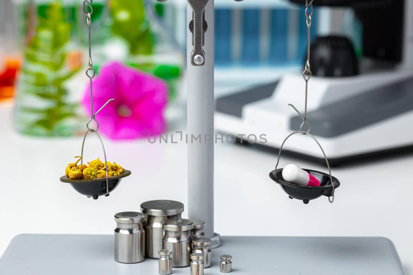 Laboratory scales with dry plants close up. Scientific research of plants concept