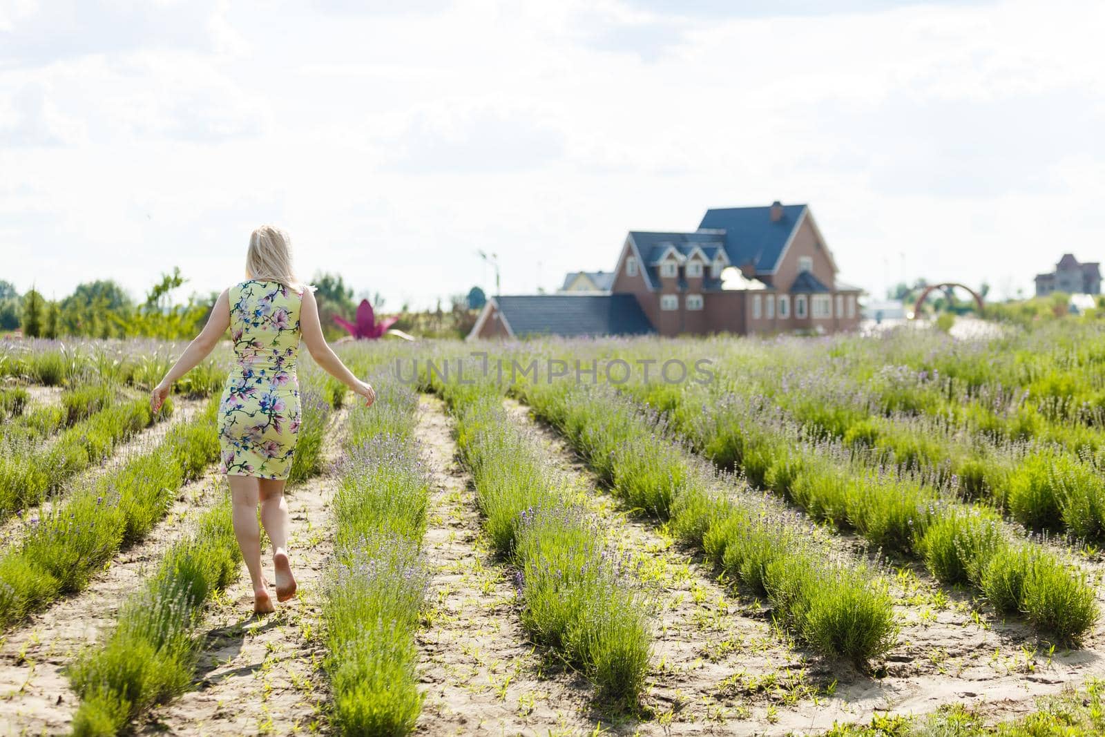 Woman standing on a lavender field