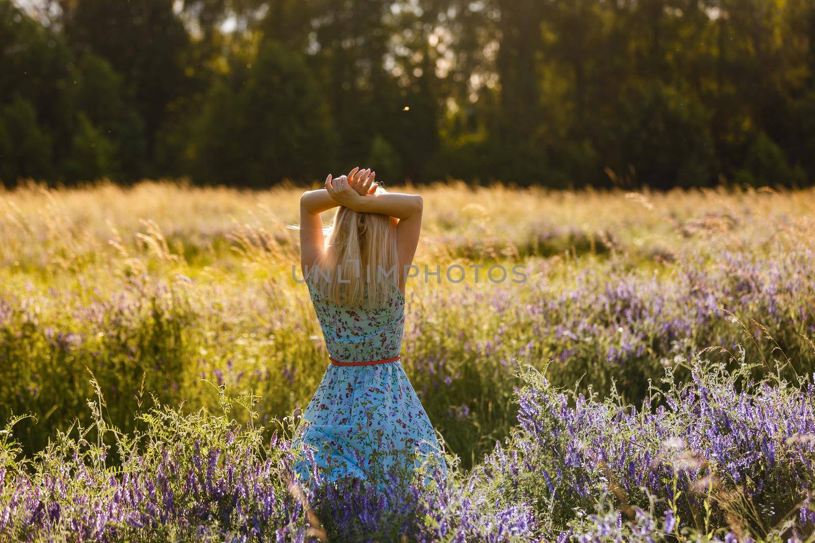 beautiful girl in a summer field