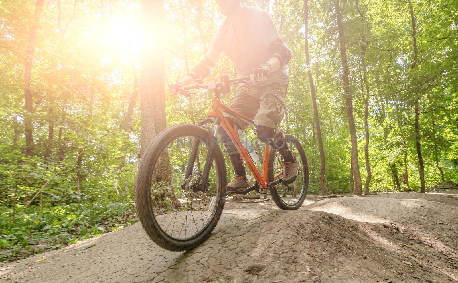 Bicycle with cyclist in sunlights riding in green forest