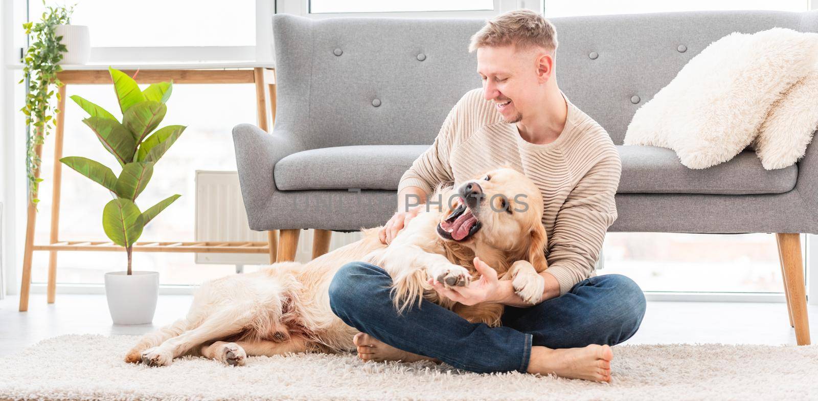 Man playing with golden retriever dog sitting on the floor in sunny apartment. Doggy shows teeth