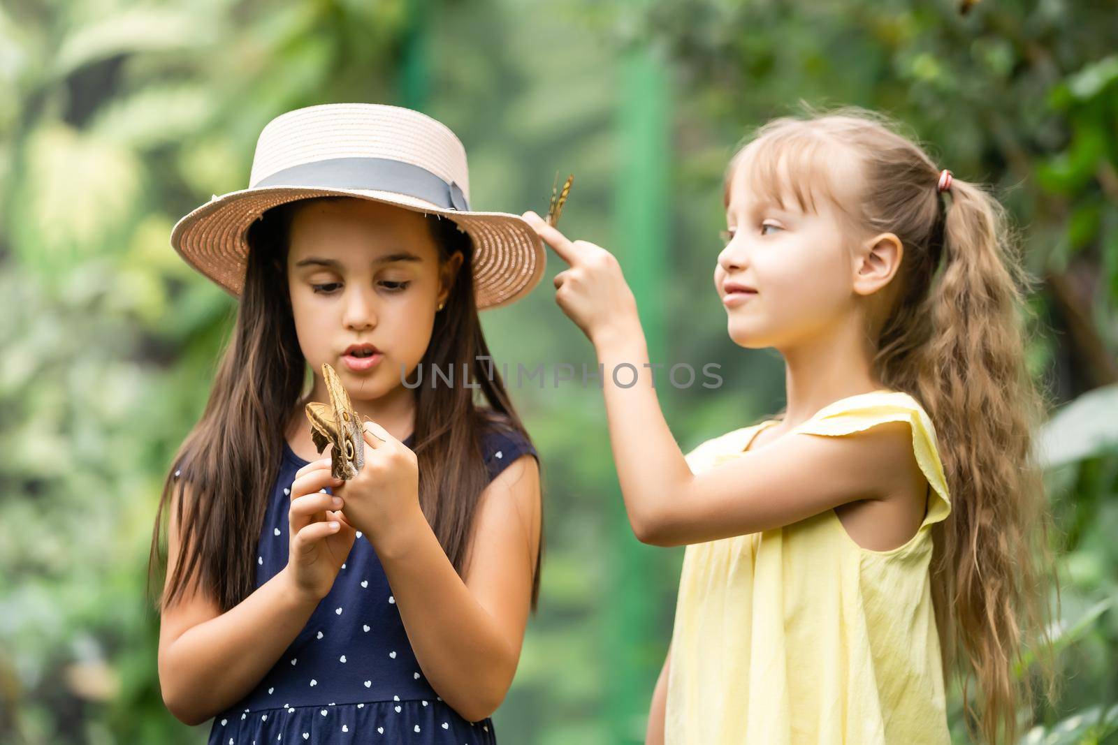 two little girls with butterflies in a greenhouse by Andelov13