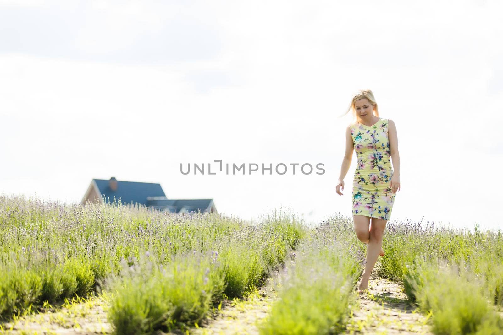 Woman standing on a lavender field