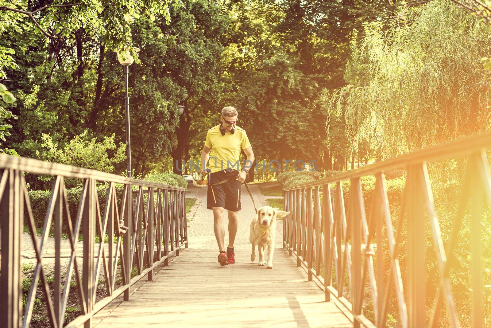 Man running across bridge with golden retriever during training in park