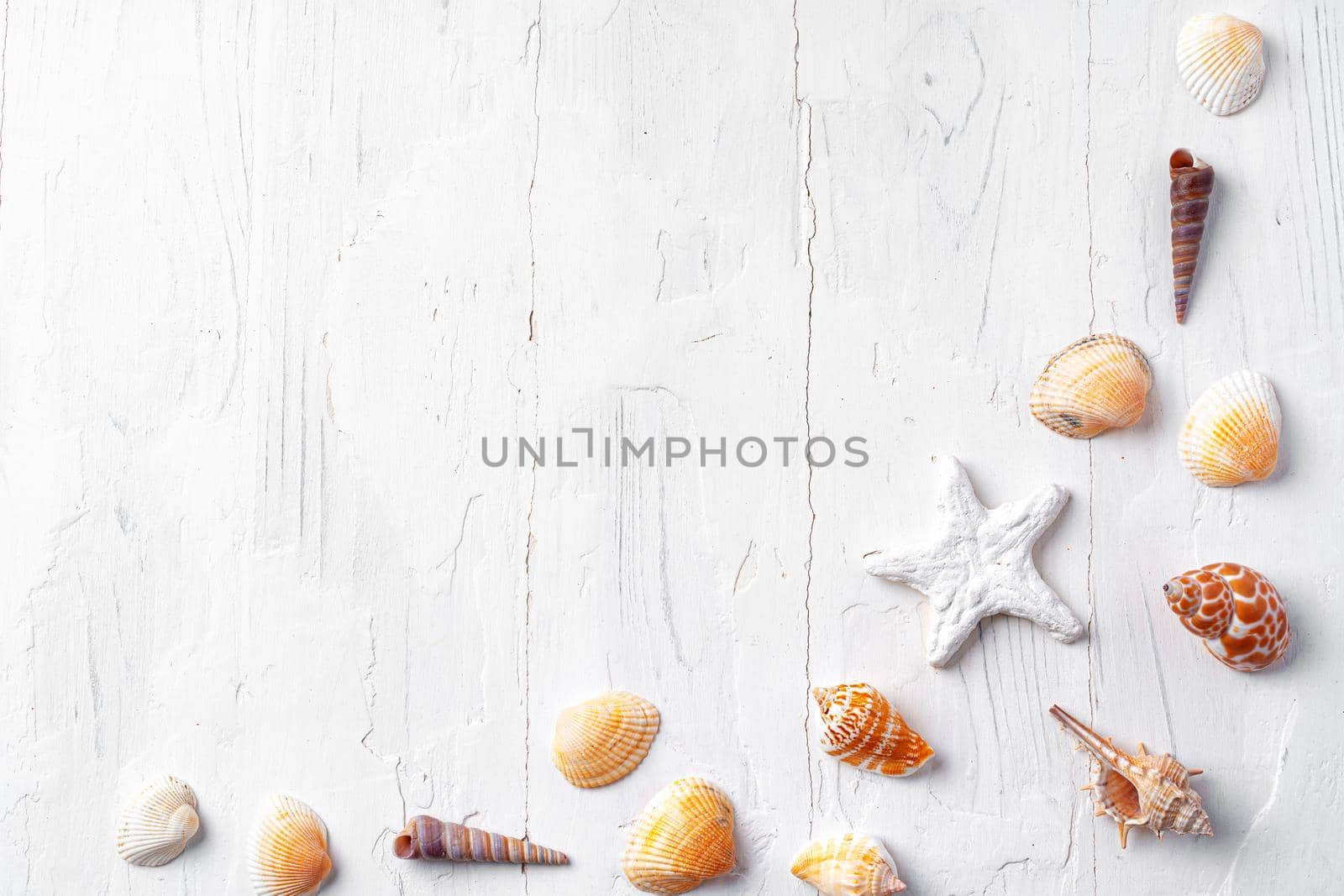 White rough wooden background with sea shells, copy space